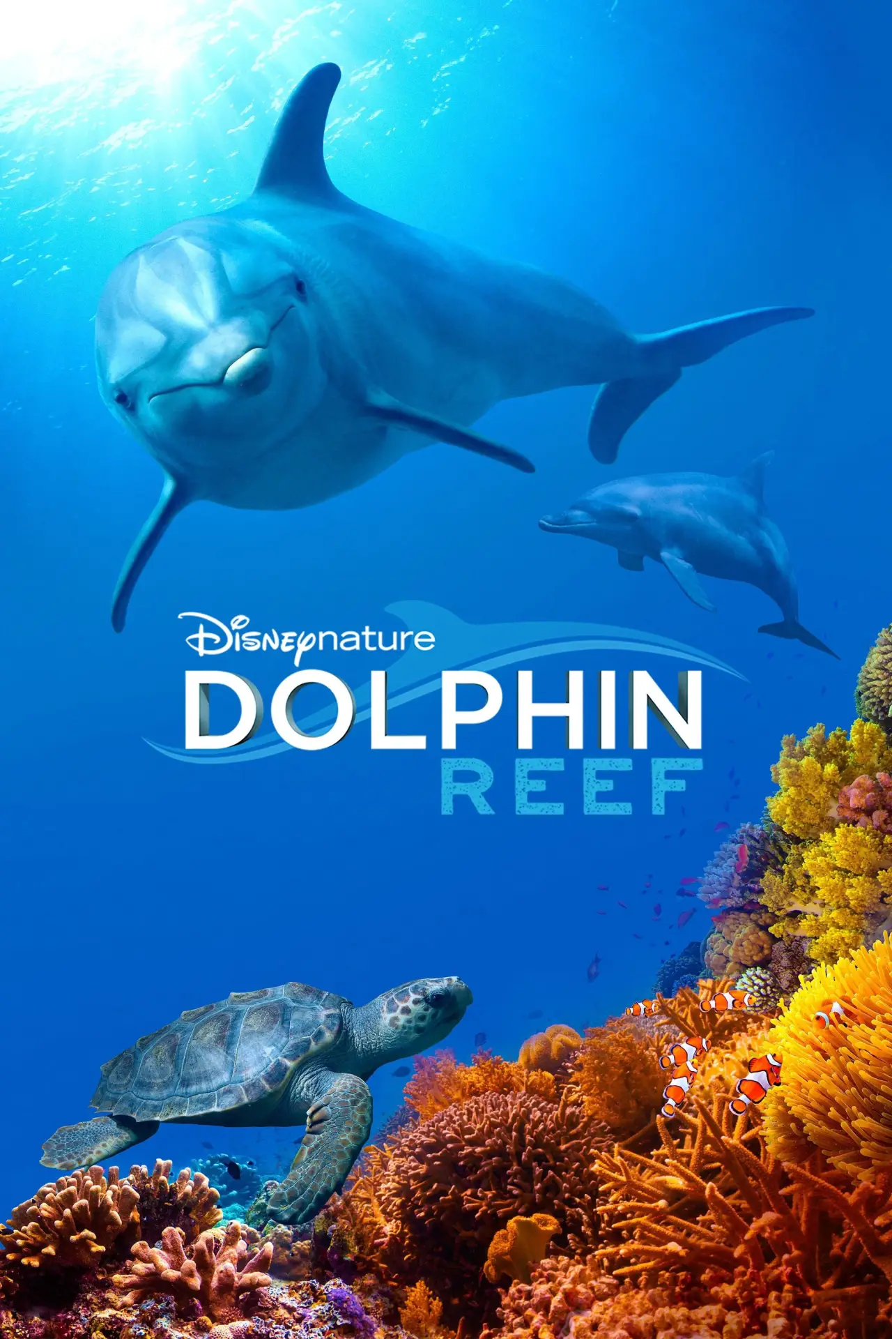 Plakat filmowy "Rafa delfinów"