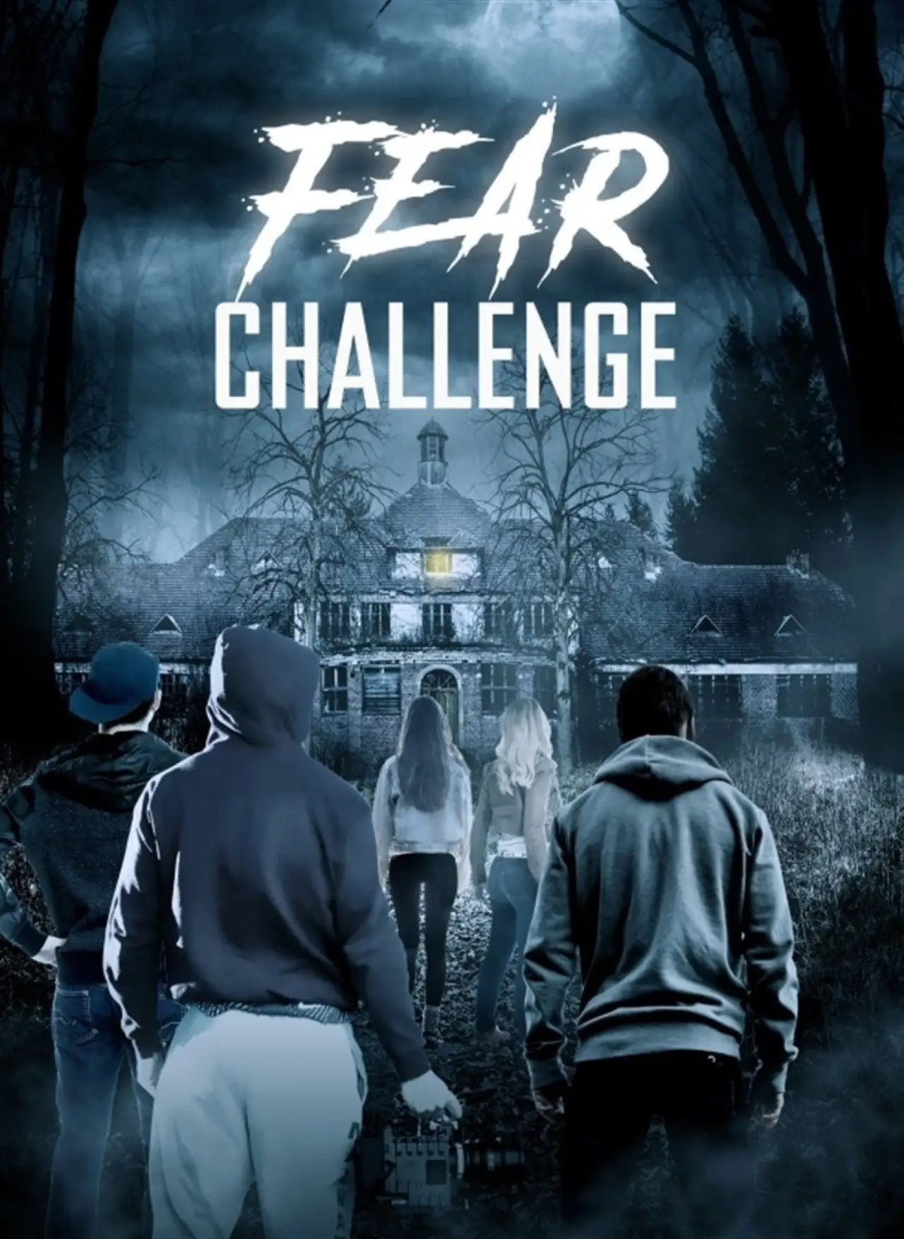 Plakat filmowy "Haunted Hospital: Heilstätten"
