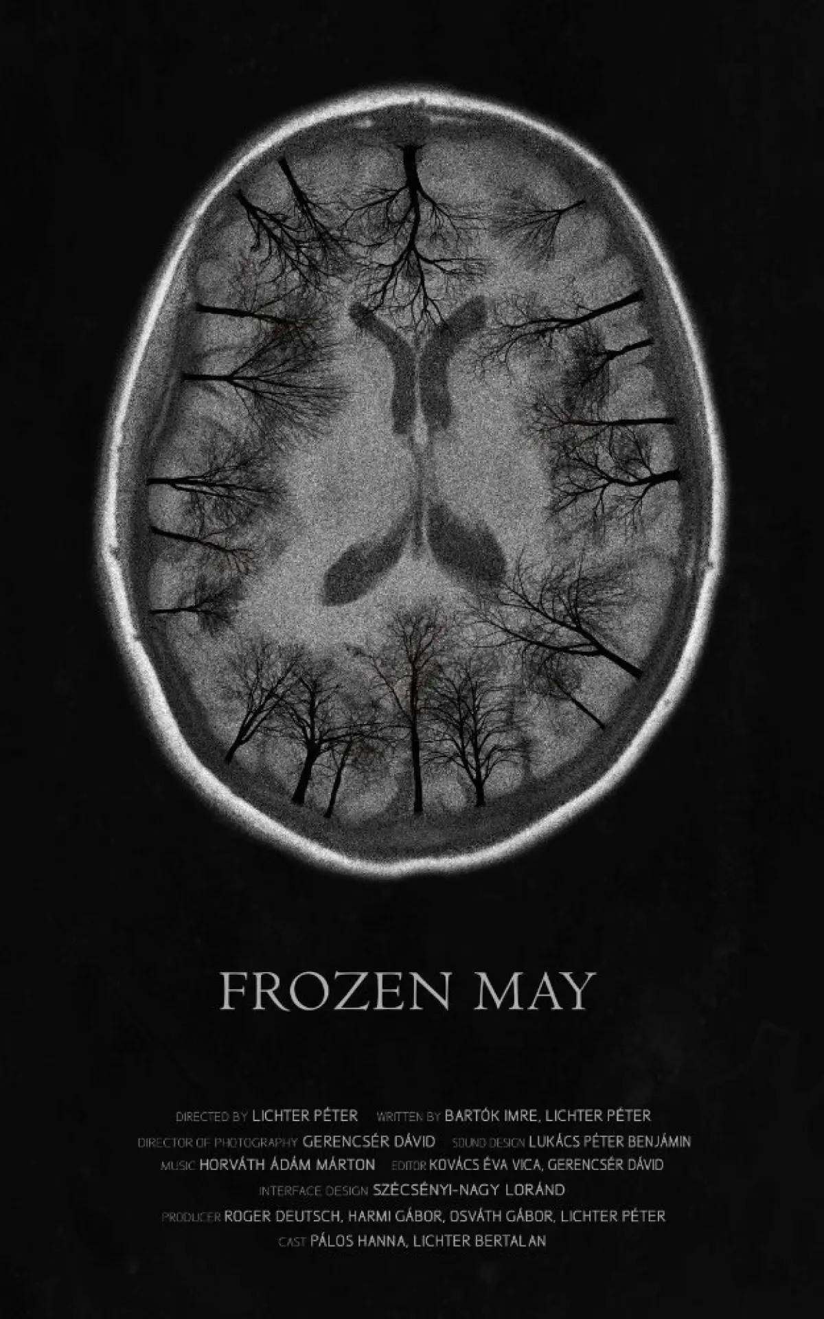 Plakat filmowy "Fagyott május"