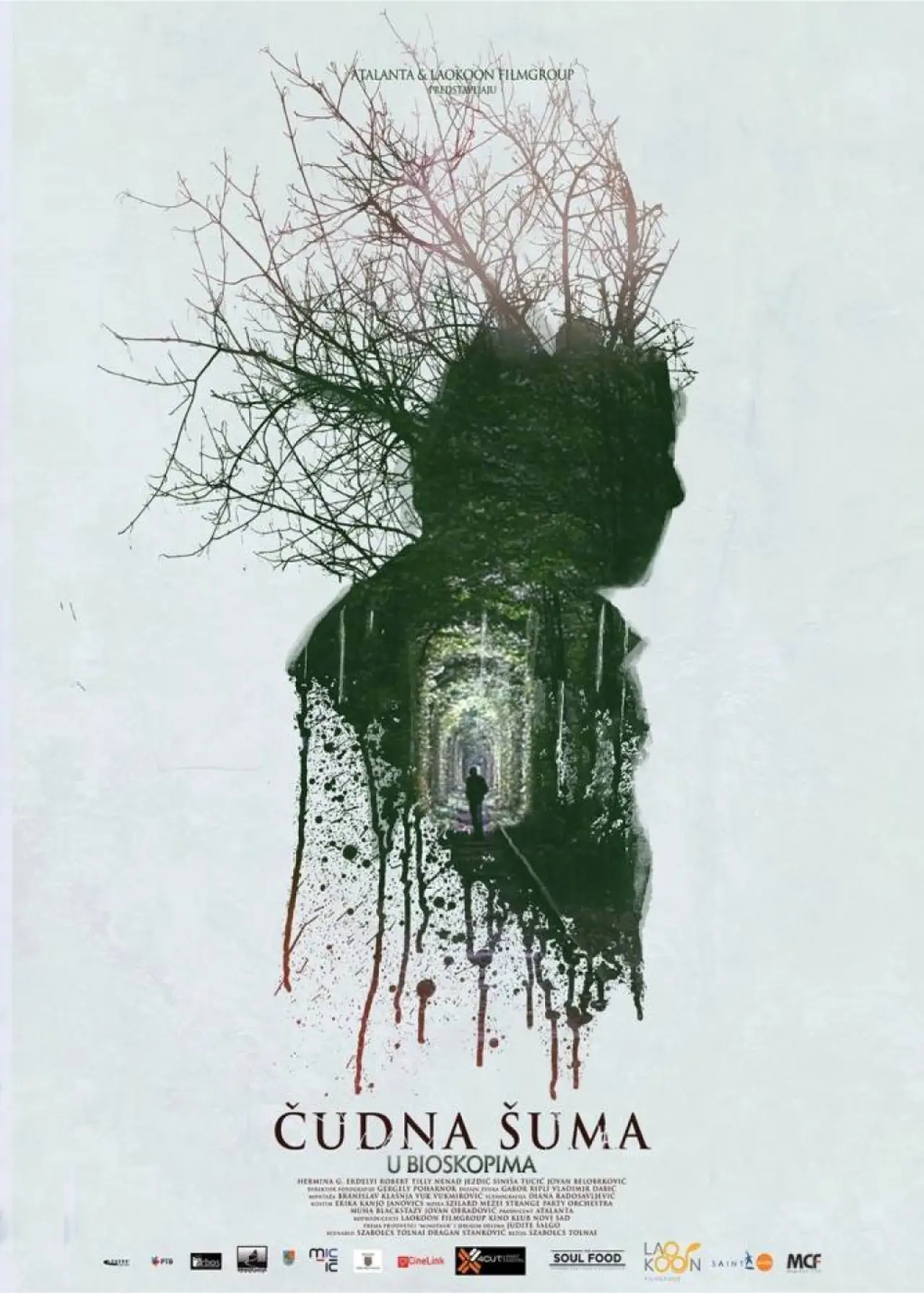 Plakat filmowy "Čudna šuma"