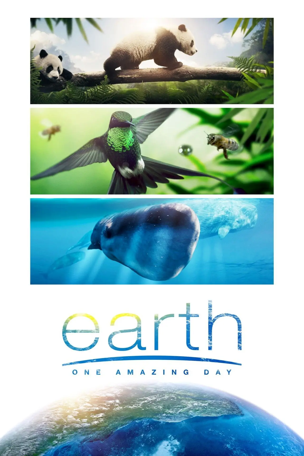 Plakat filmowy "Ziemia. Niezwykły dzień z życia planety"