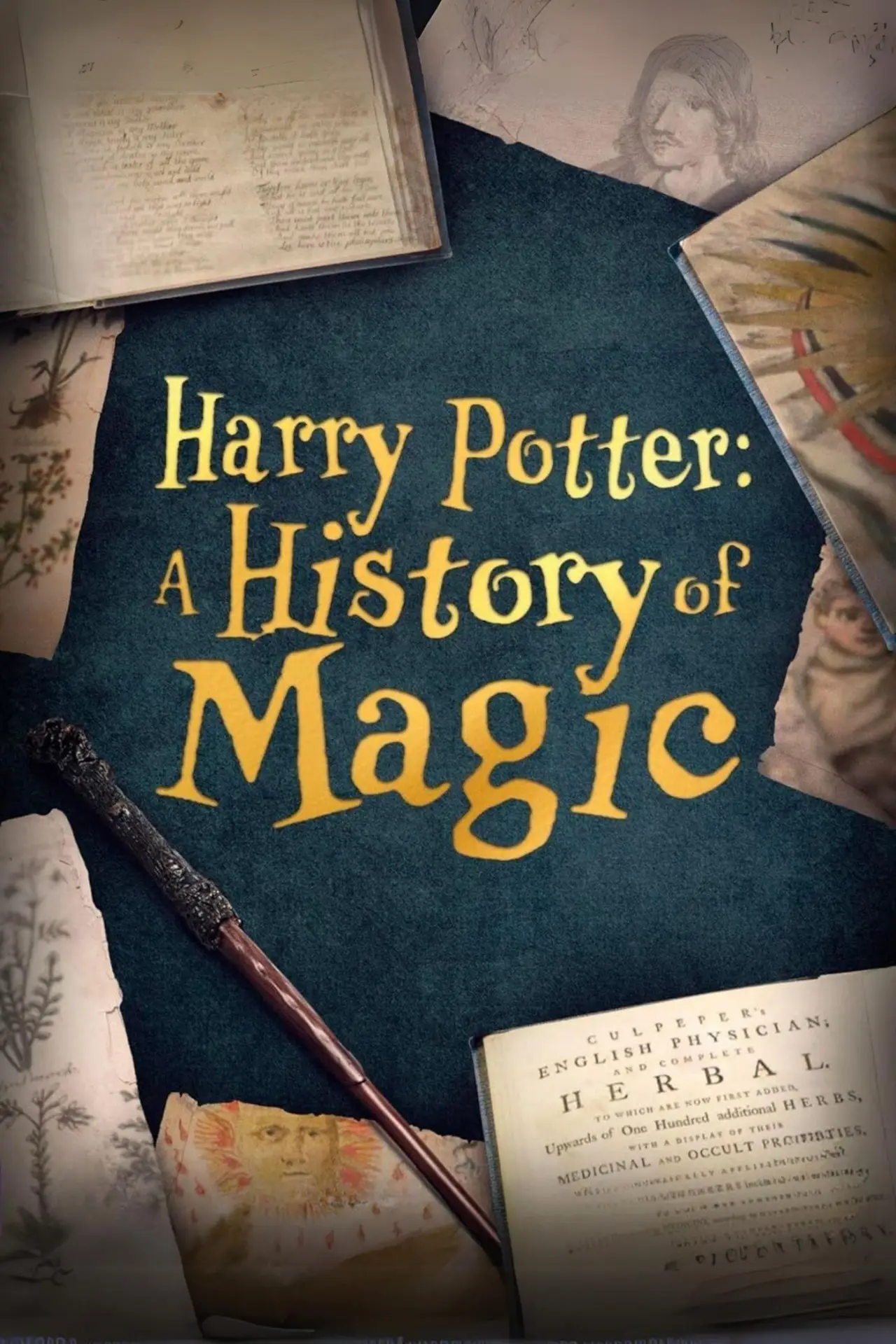Plakat filmowy "Harry Potter: A History Of Magic"