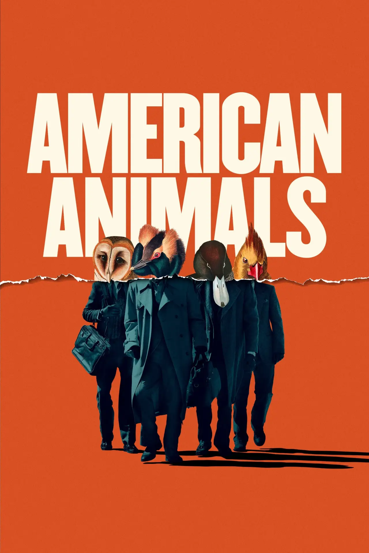 Plakat filmowy "Zwierzęta Ameryki"