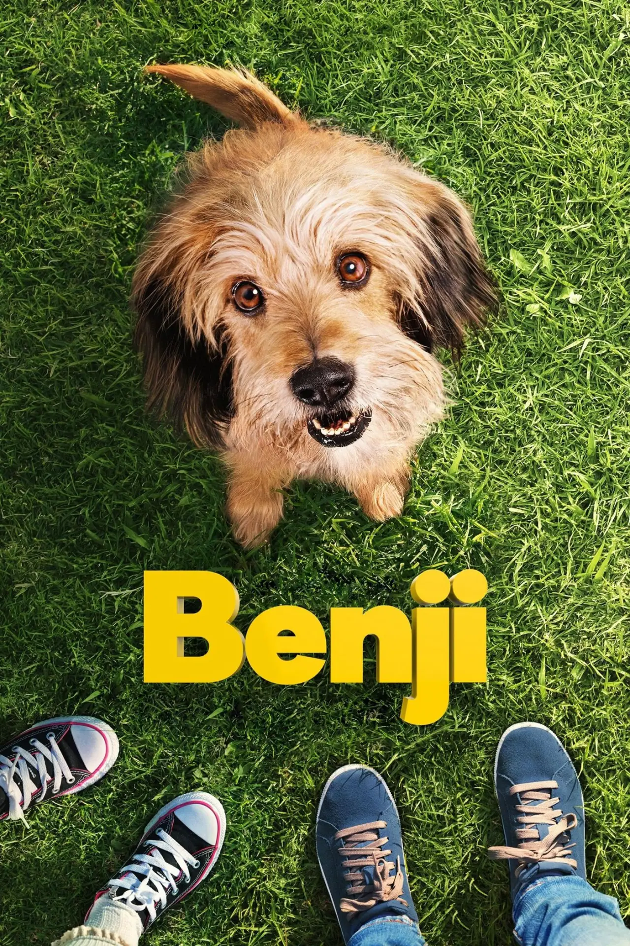 Plakat filmowy "Benji"