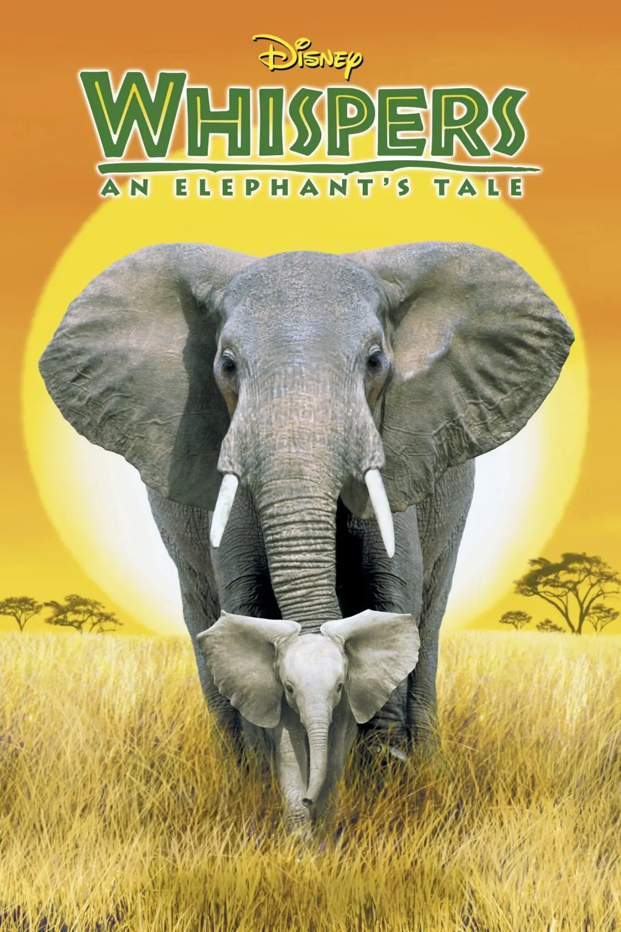Plakat filmowy "Whispers: An Elephant