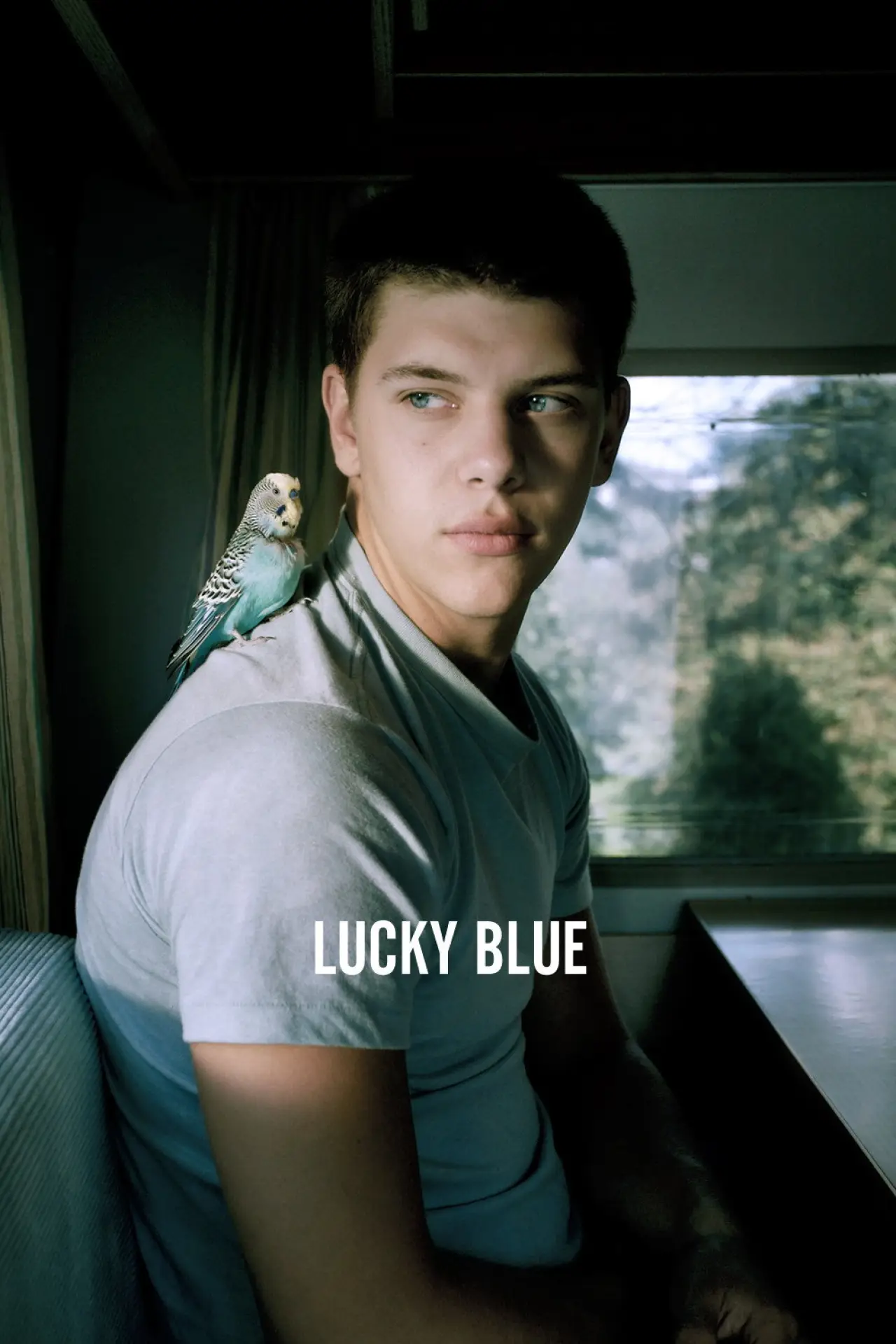 Plakat filmowy "Lucky Blue"