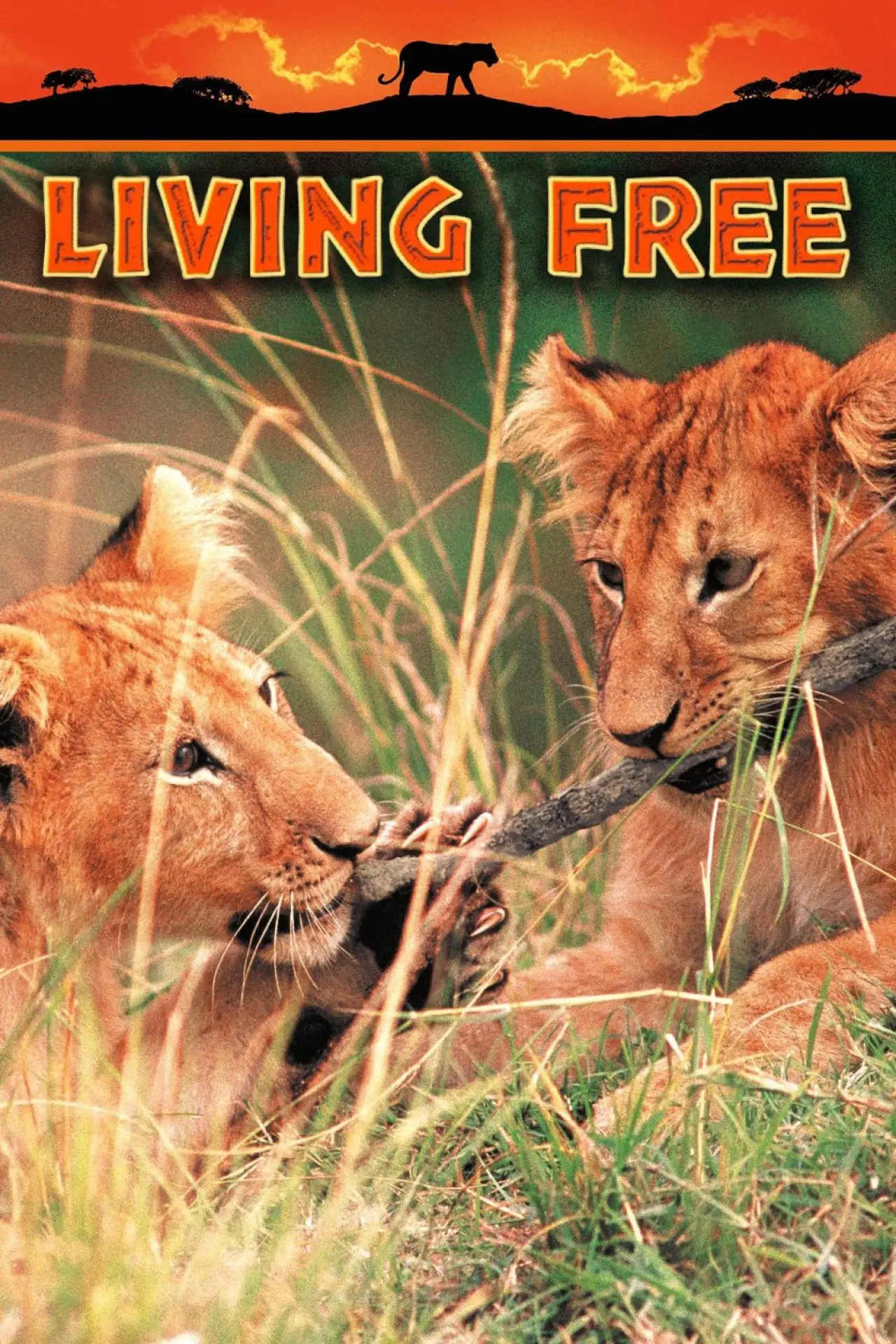 Plakat filmowy "Living Free"