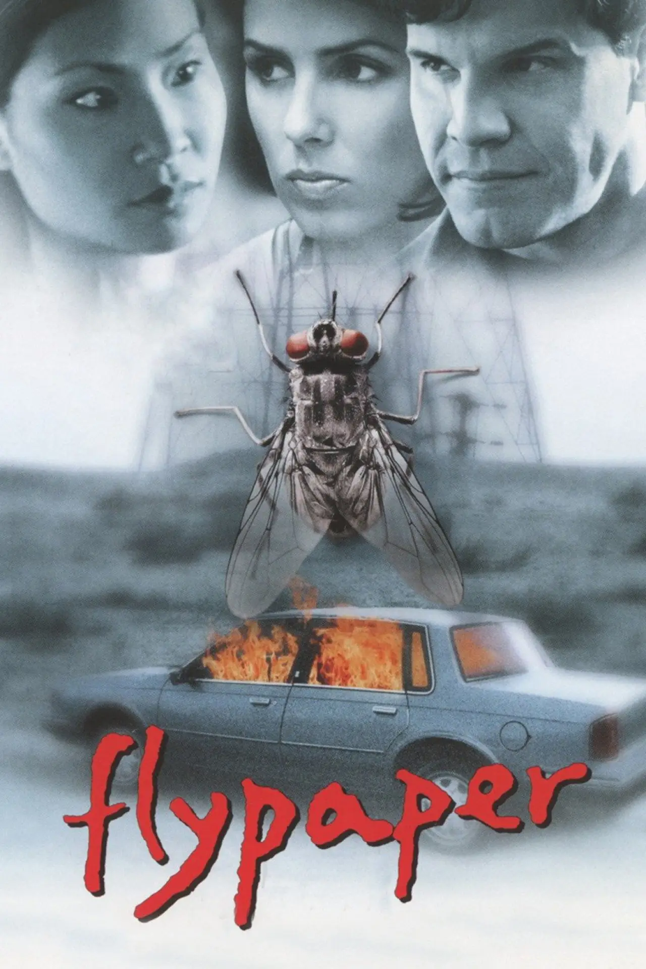 Plakat filmowy "Lep na muchy"