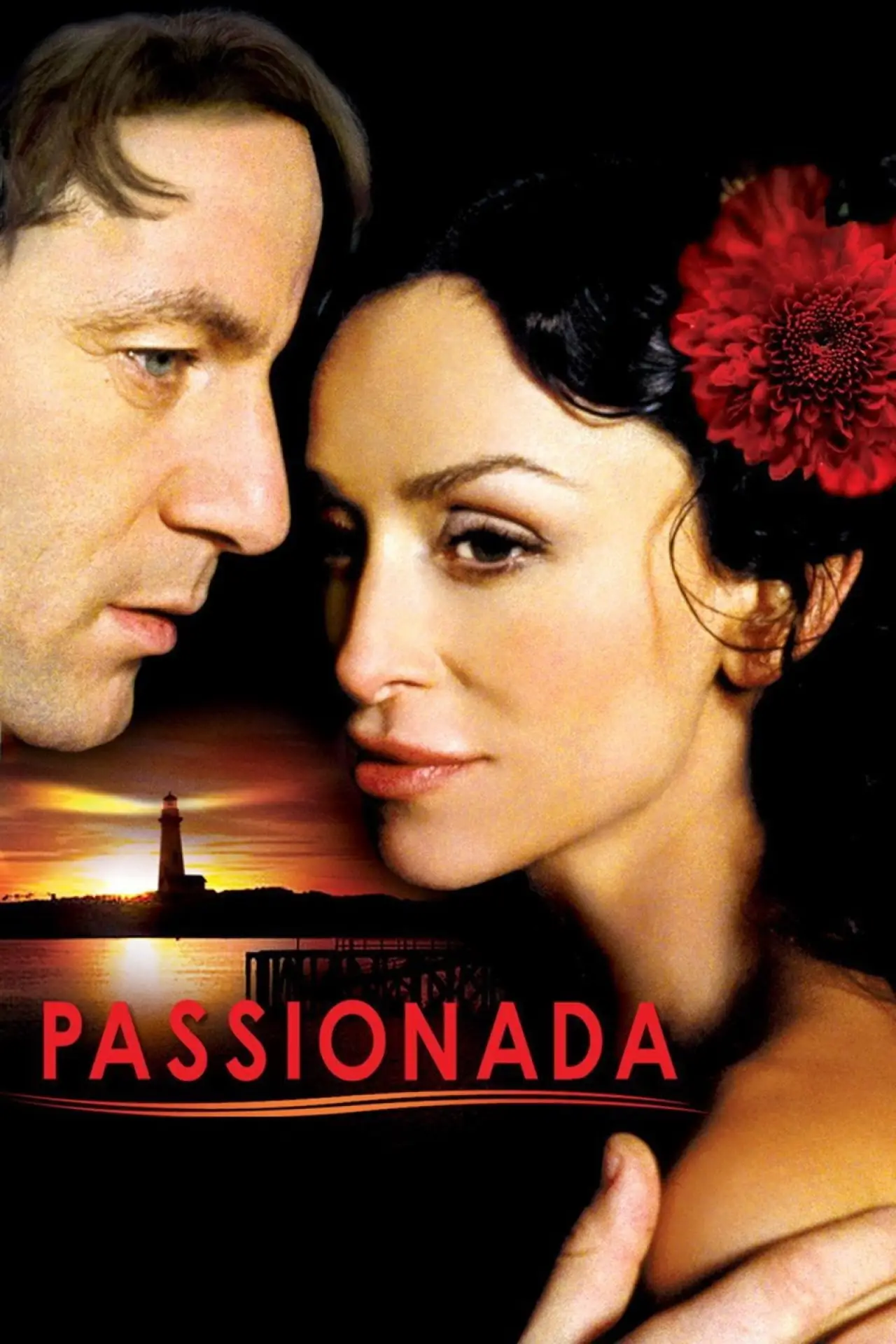 Plakat filmowy "Passionada"