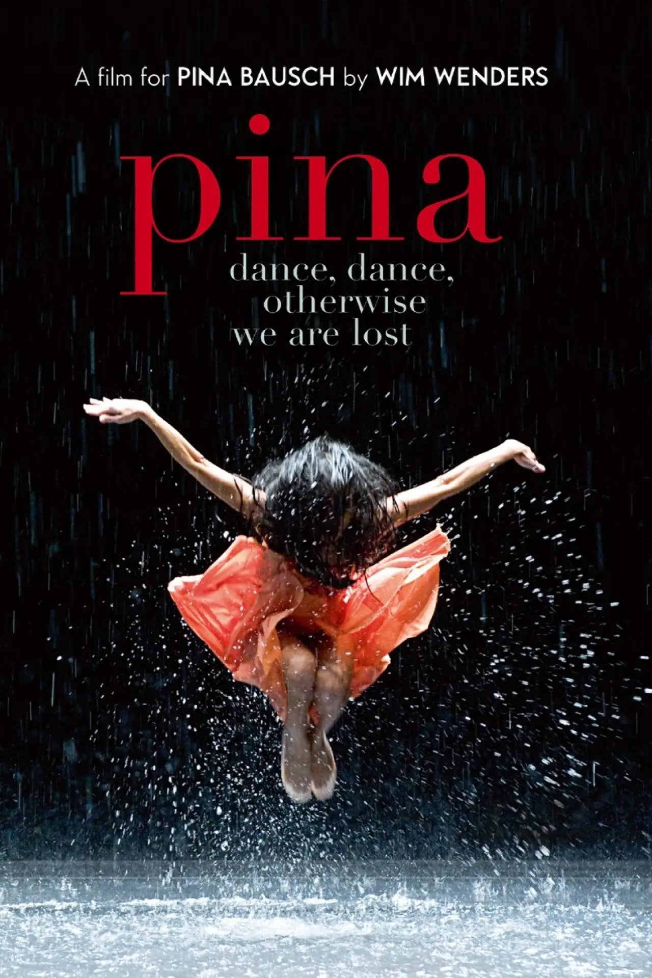 Plakat filmowy "Pina"