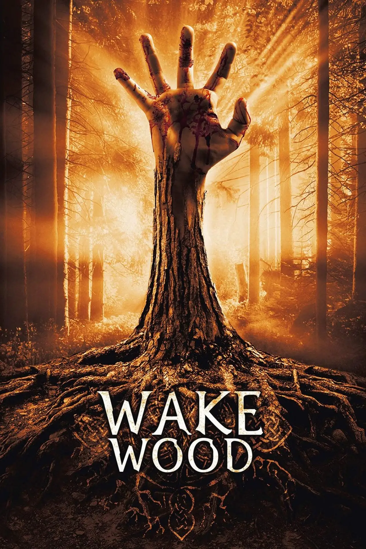 Plakat filmowy "Wake Wood"