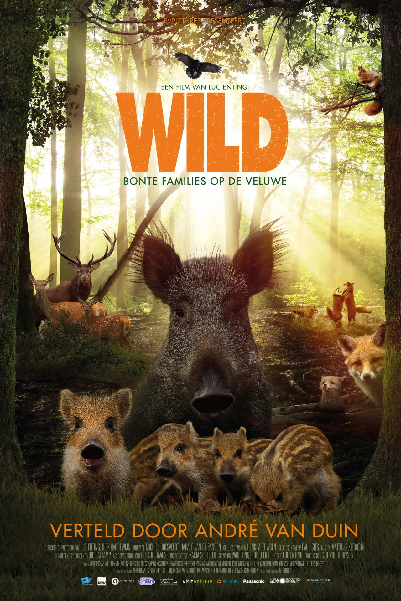 Plakat filmowy "Wild"