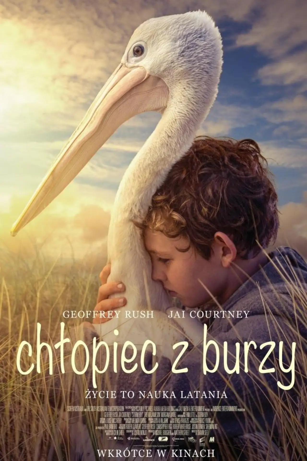 Plakat filmowy "Chłopiec z burzy"
