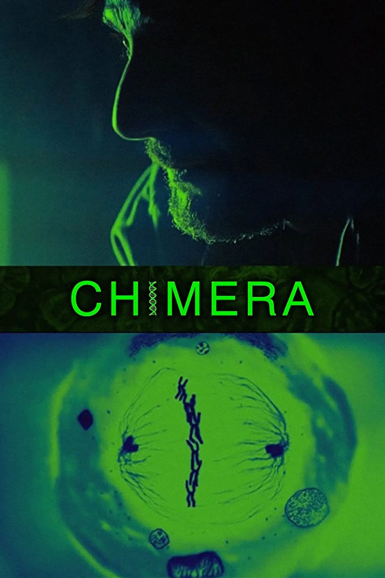 Plakat filmowy "Chimera"