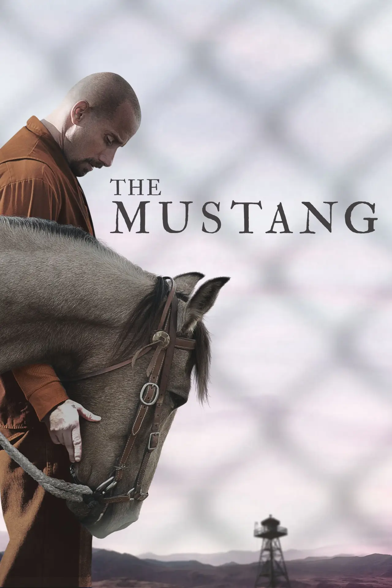 Plakat filmowy "Mustang"