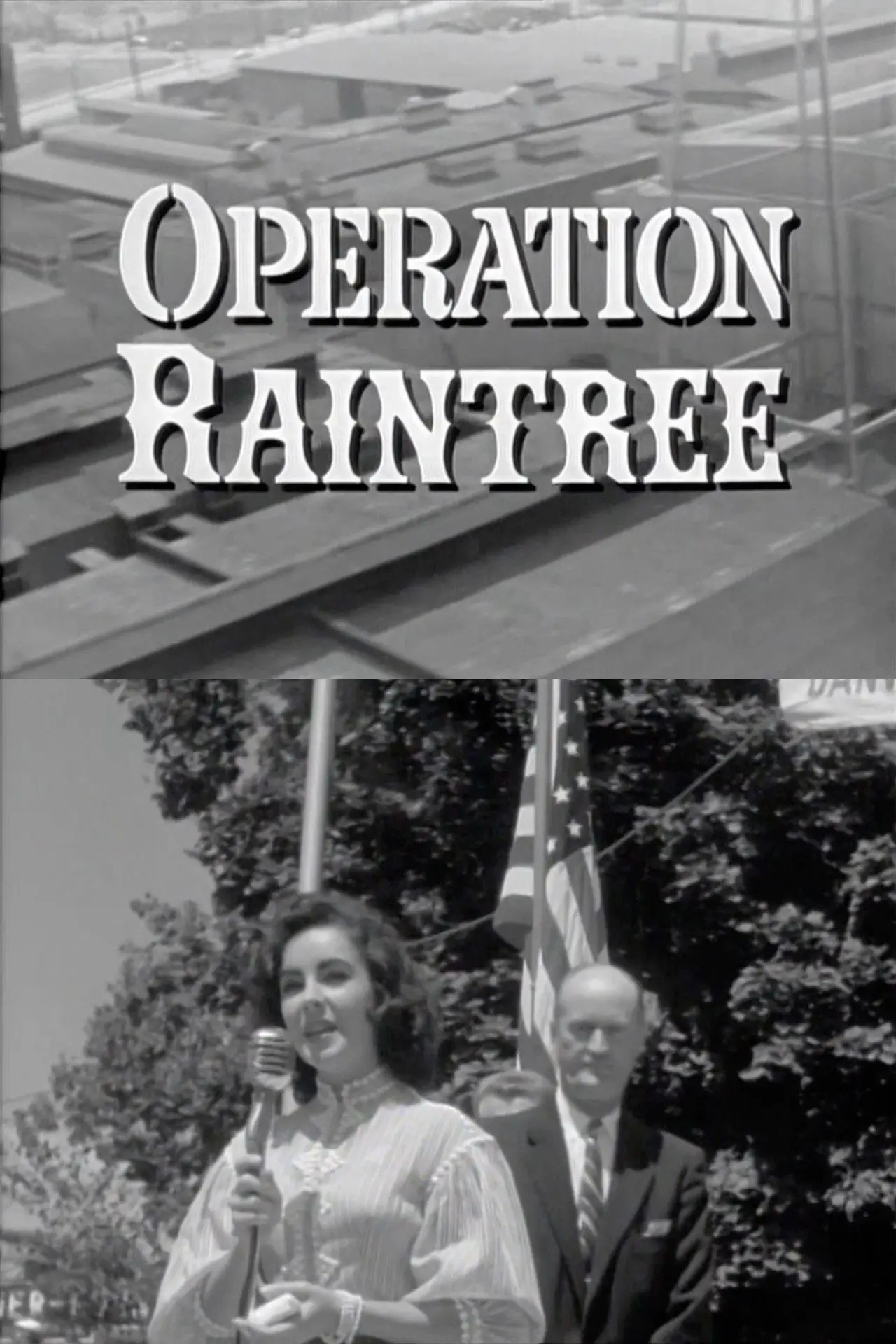 Plakat filmowy "Operation Raintree"