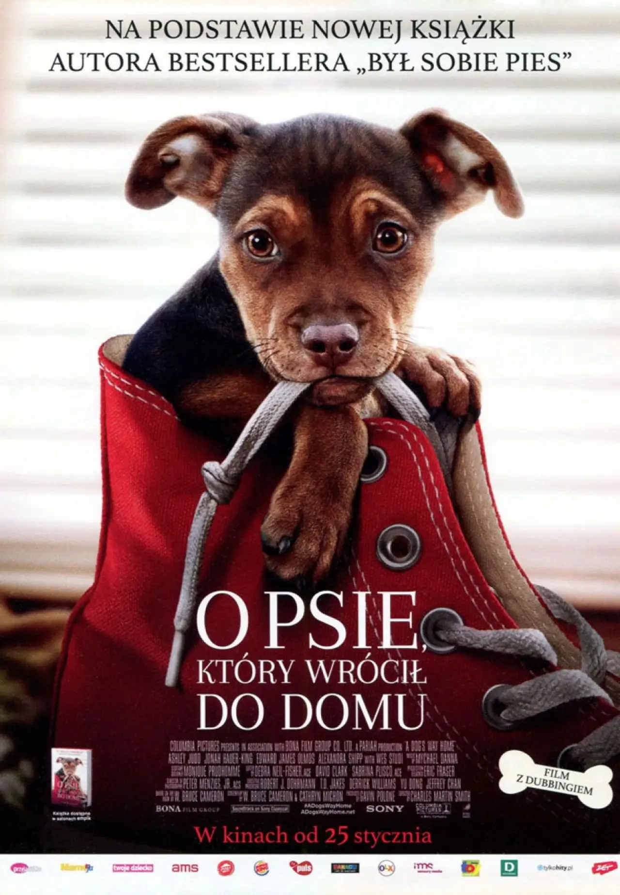 Plakat filmowy "O psie, który wrócił do domu"