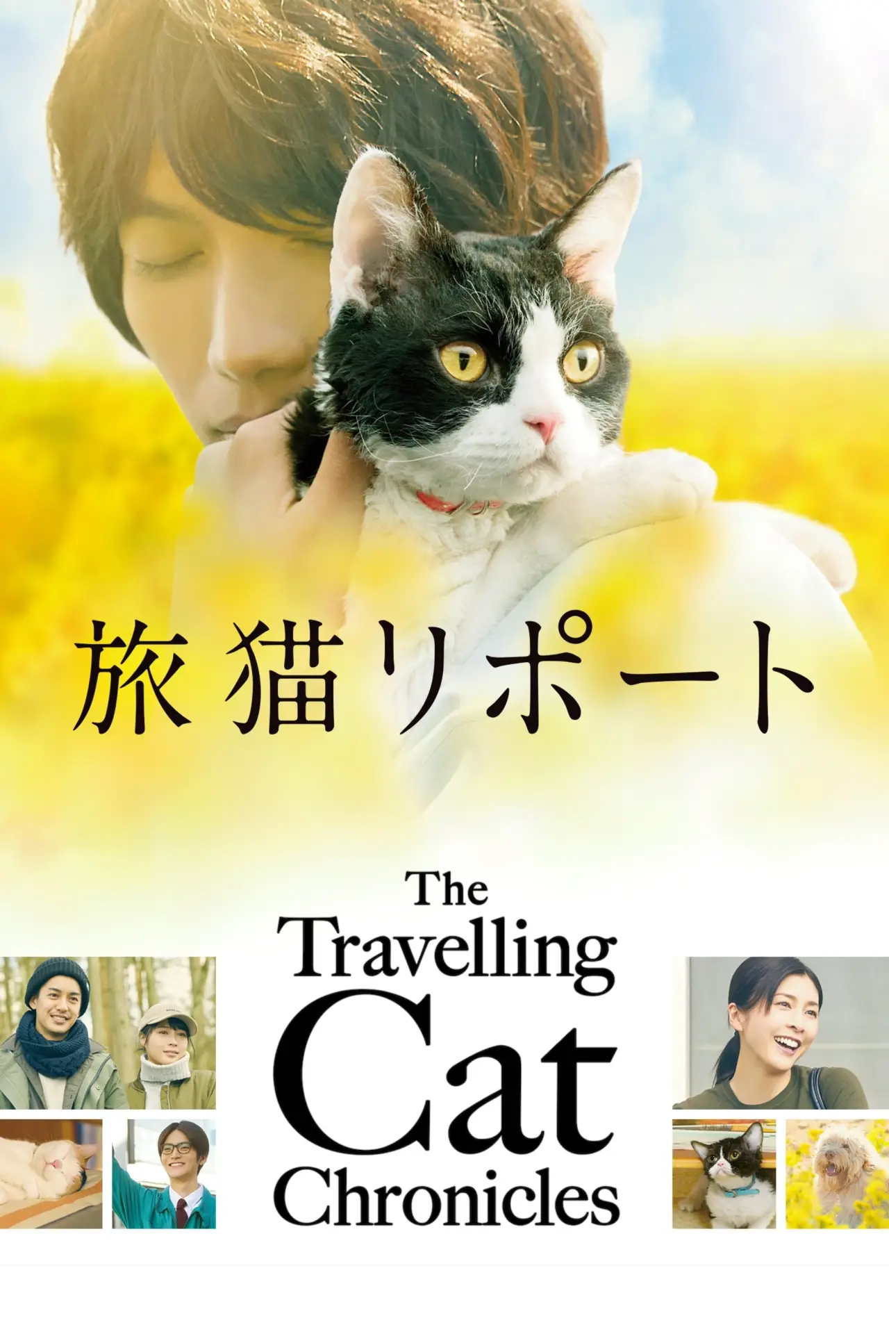 Plakat filmowy "旅猫リポート"