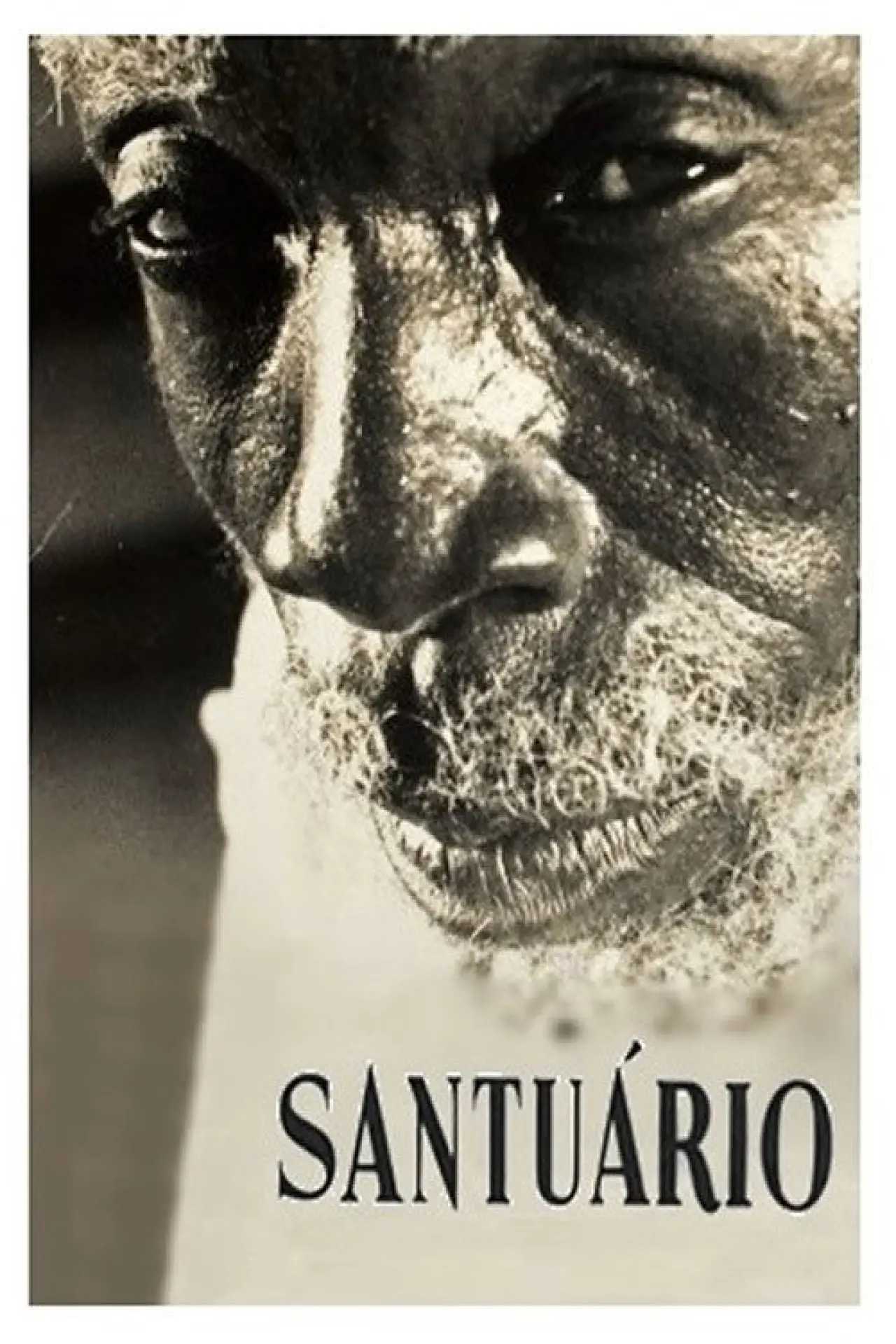 Plakat filmowy "Santuário"