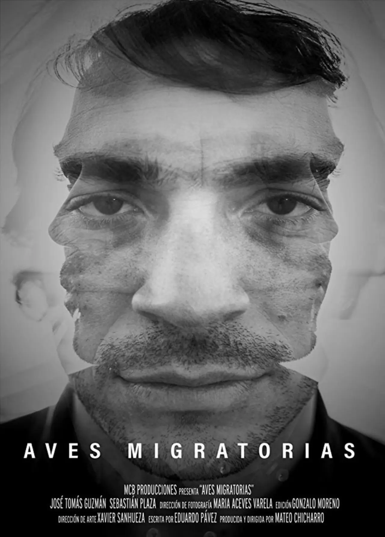 Plakat filmowy "Aves migratorias"