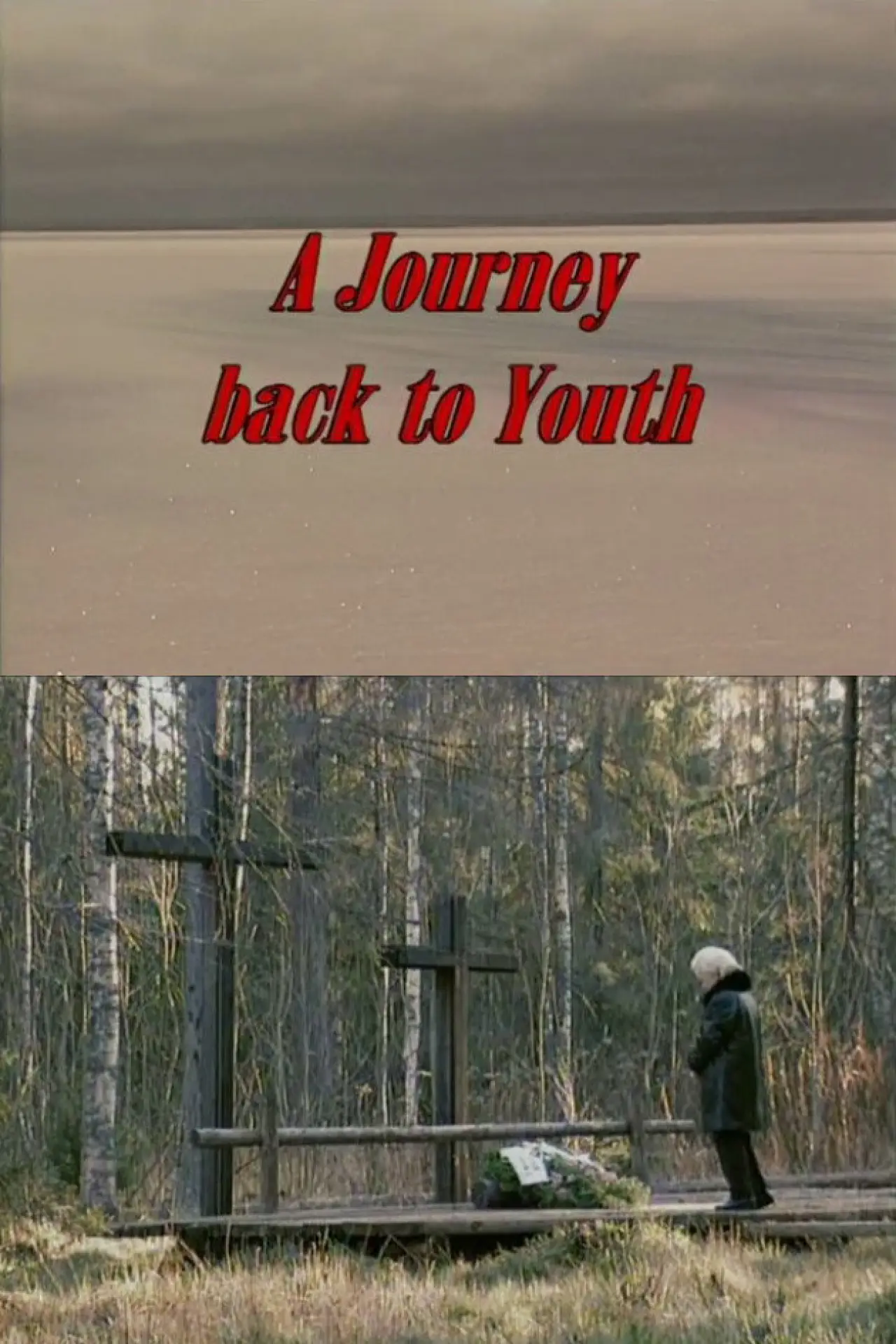 Plakat filmowy "A Journey Back to Youth"