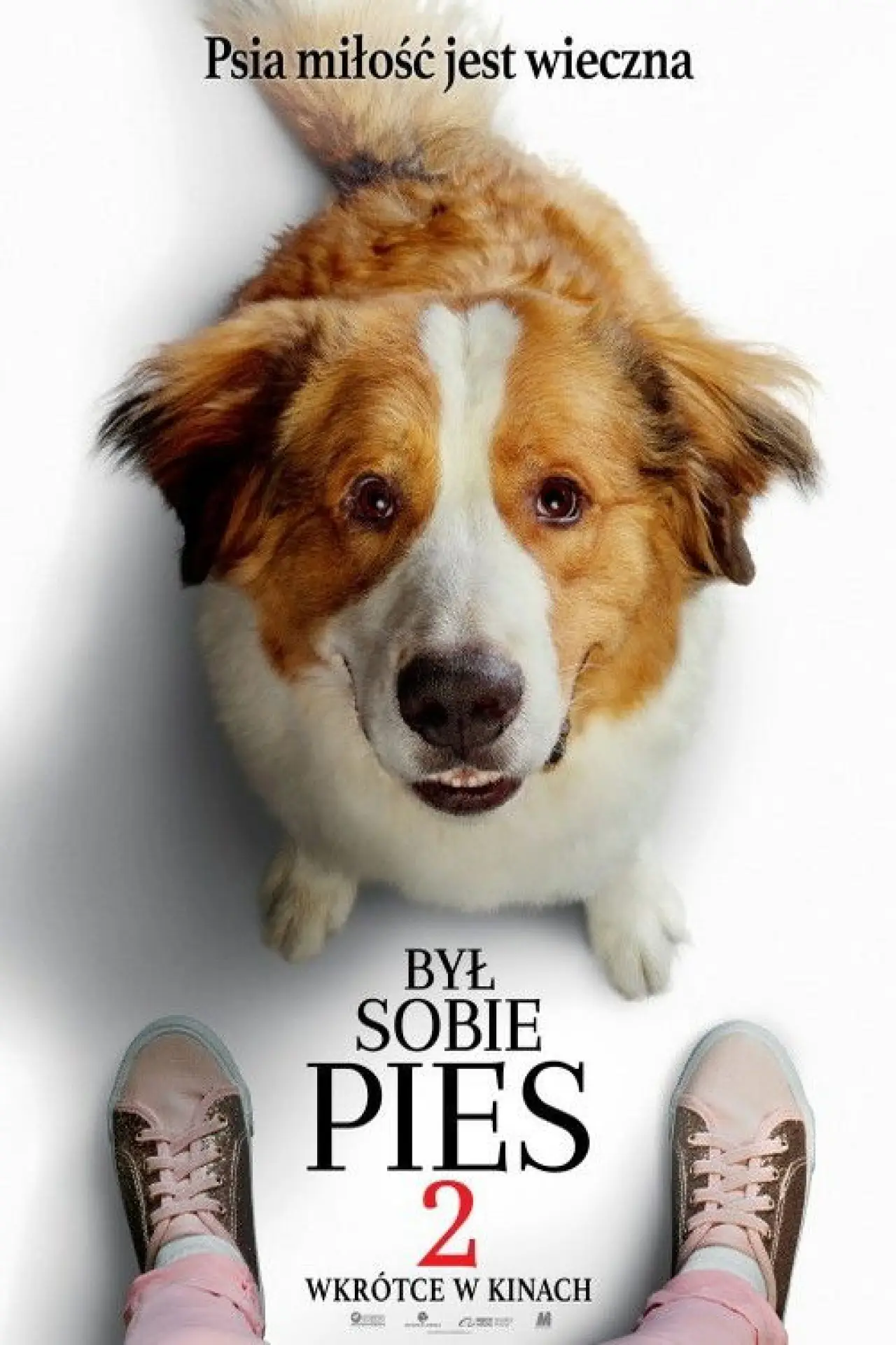 Plakat filmowy "Był sobie pies 2"