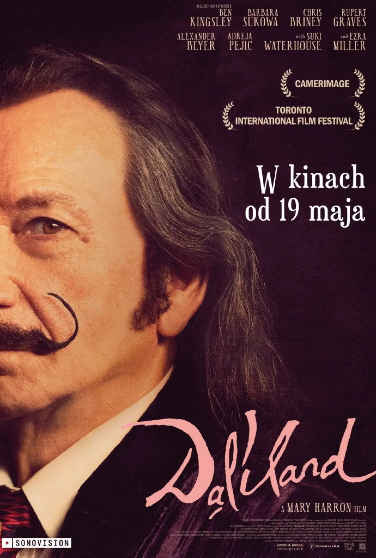 Plakat filmowy "Dalíland"