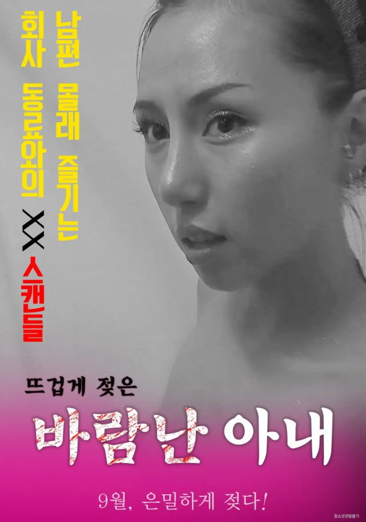 Plakat filmowy "바람난 아내"