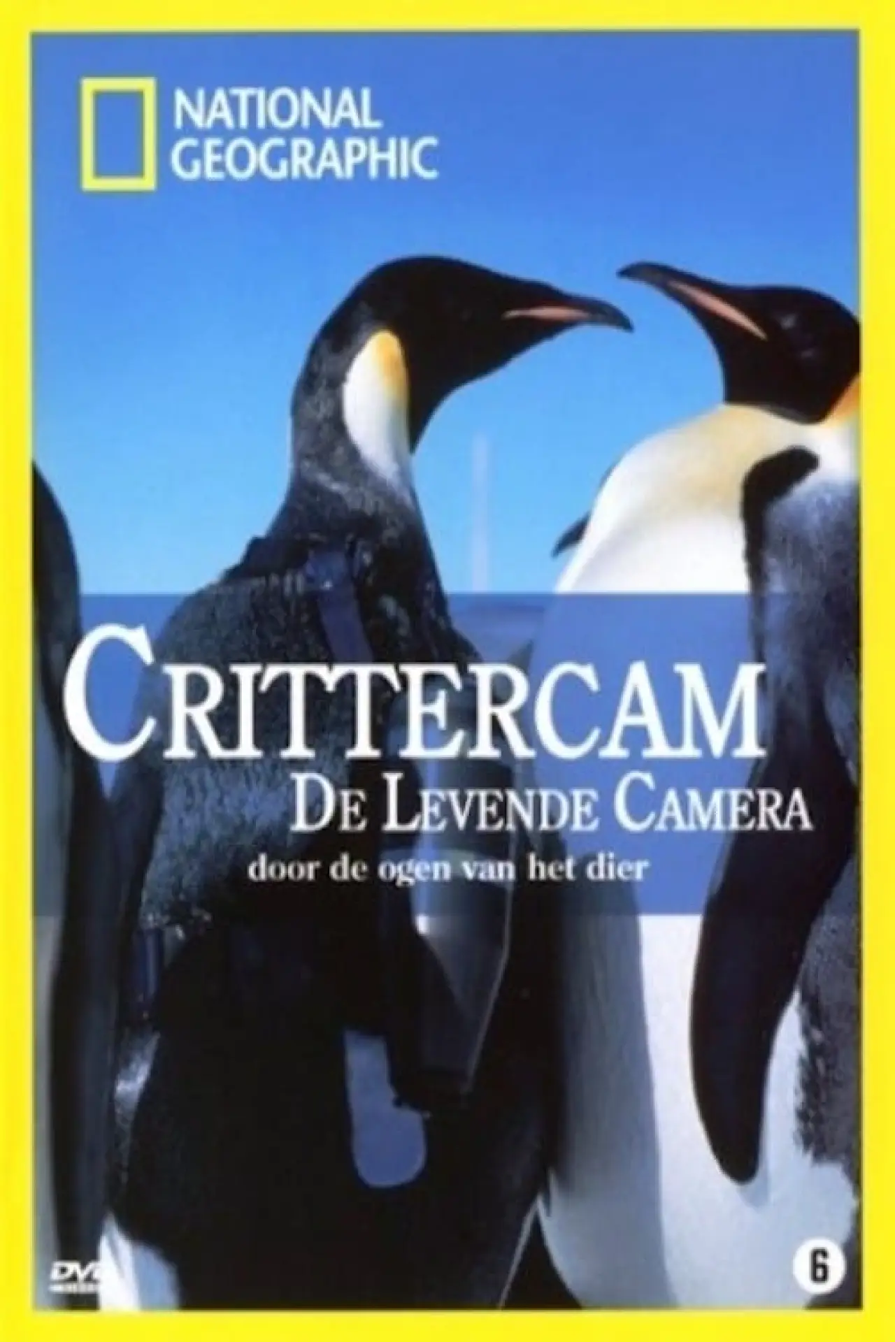 Plakat filmowy "Crittercam"