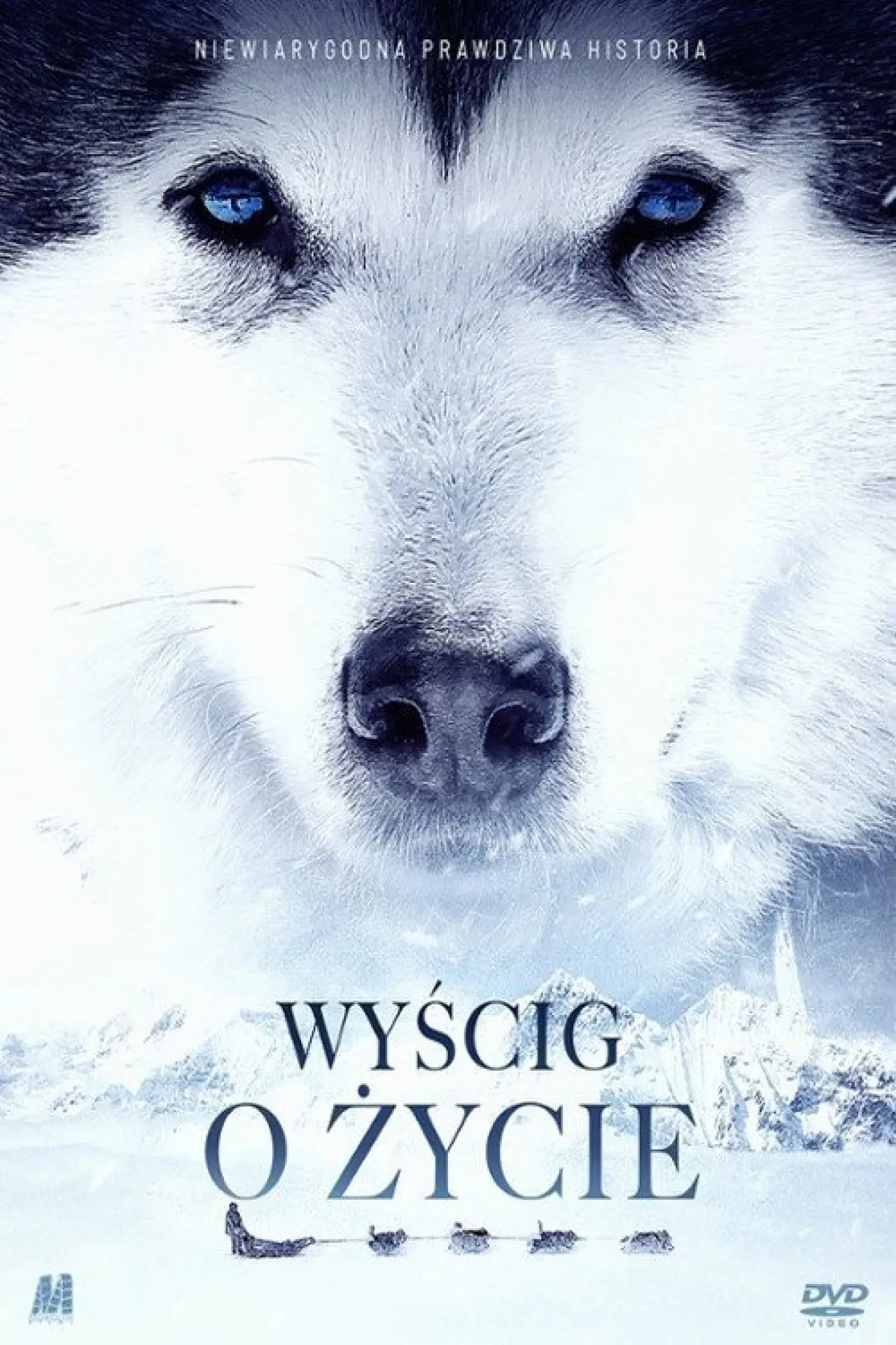 Plakat filmowy "Wyścig o życie"