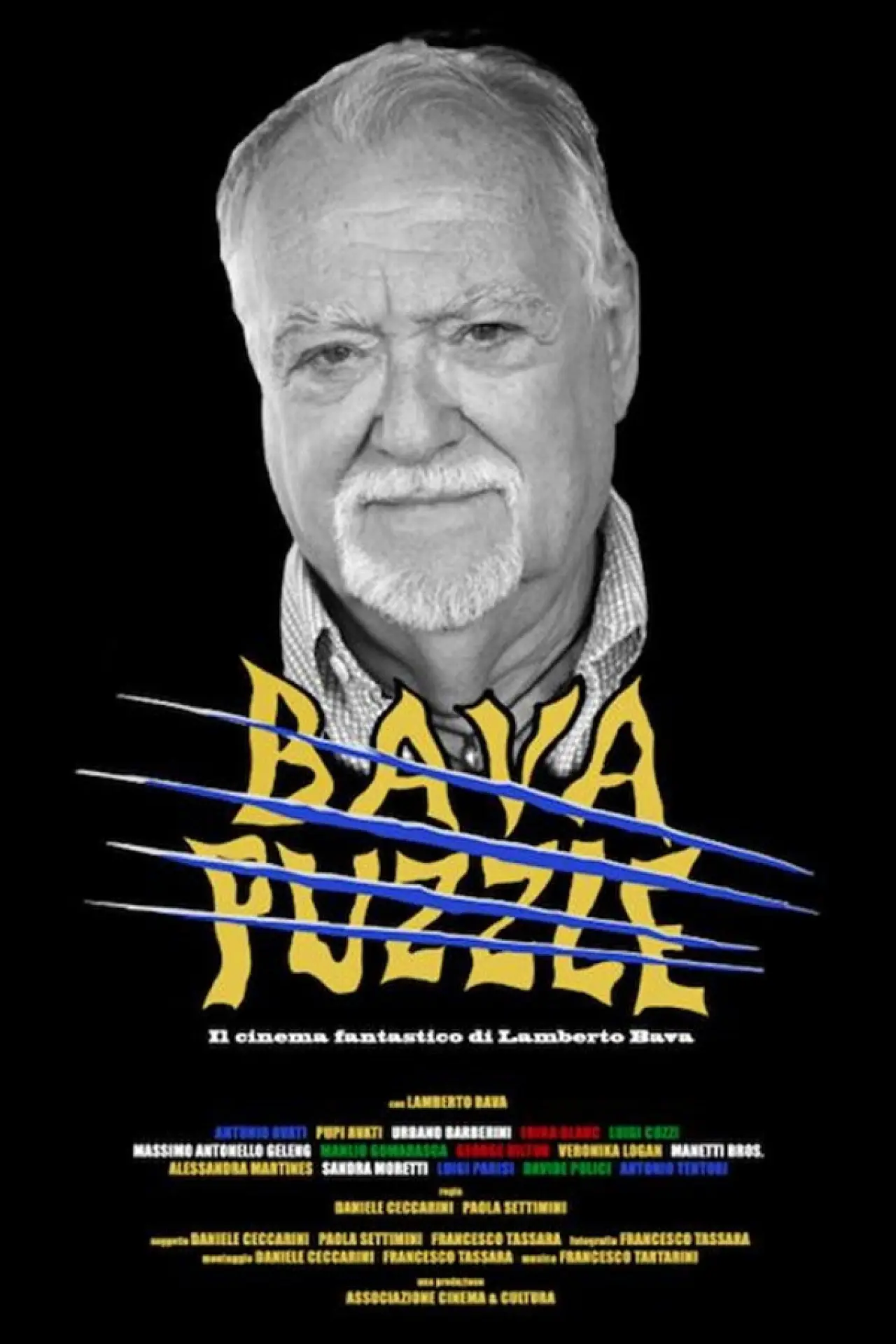 Plakat filmowy "Bava Puzzle"