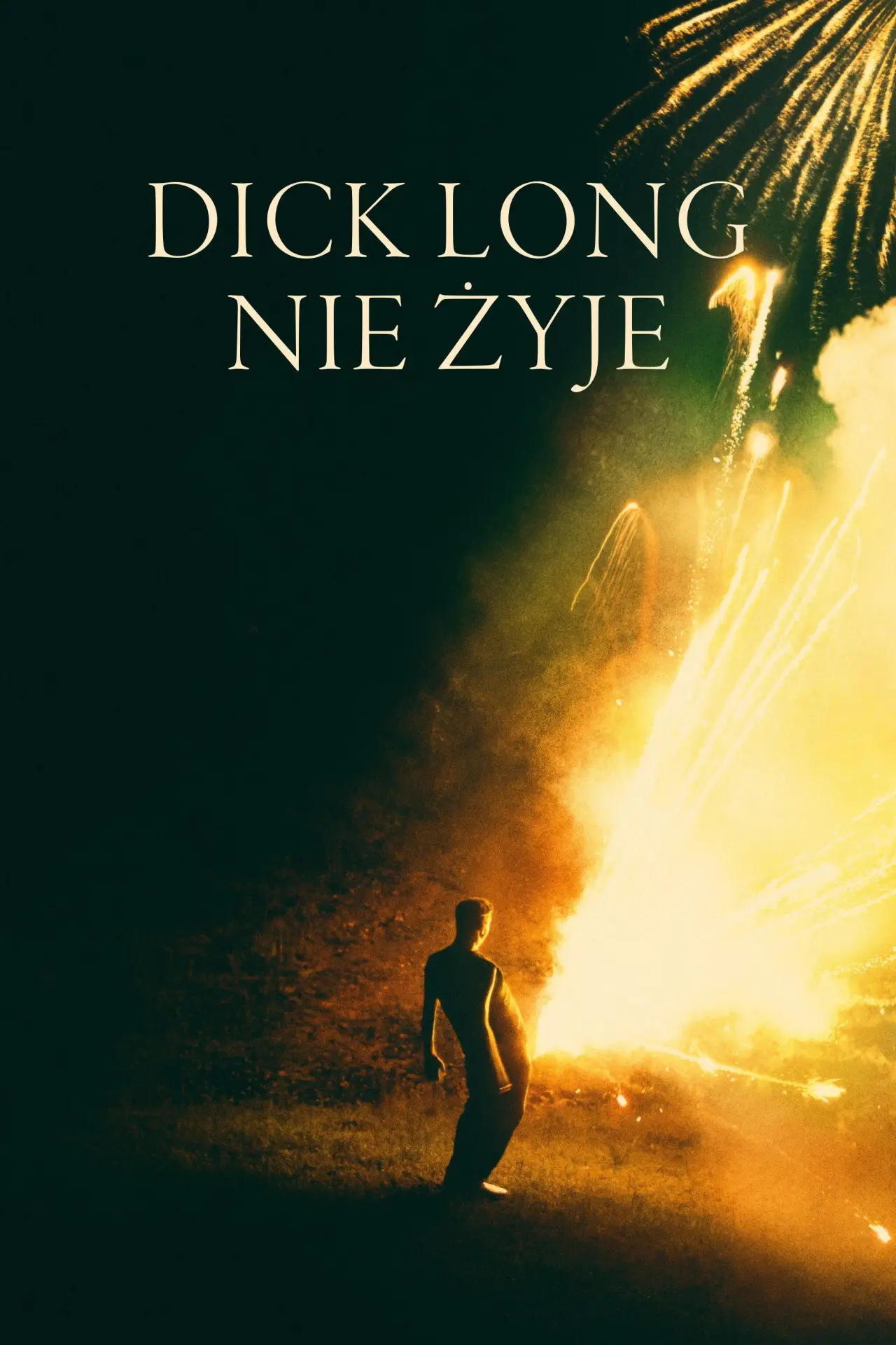 Plakat filmowy "Dick Long nie żyje"