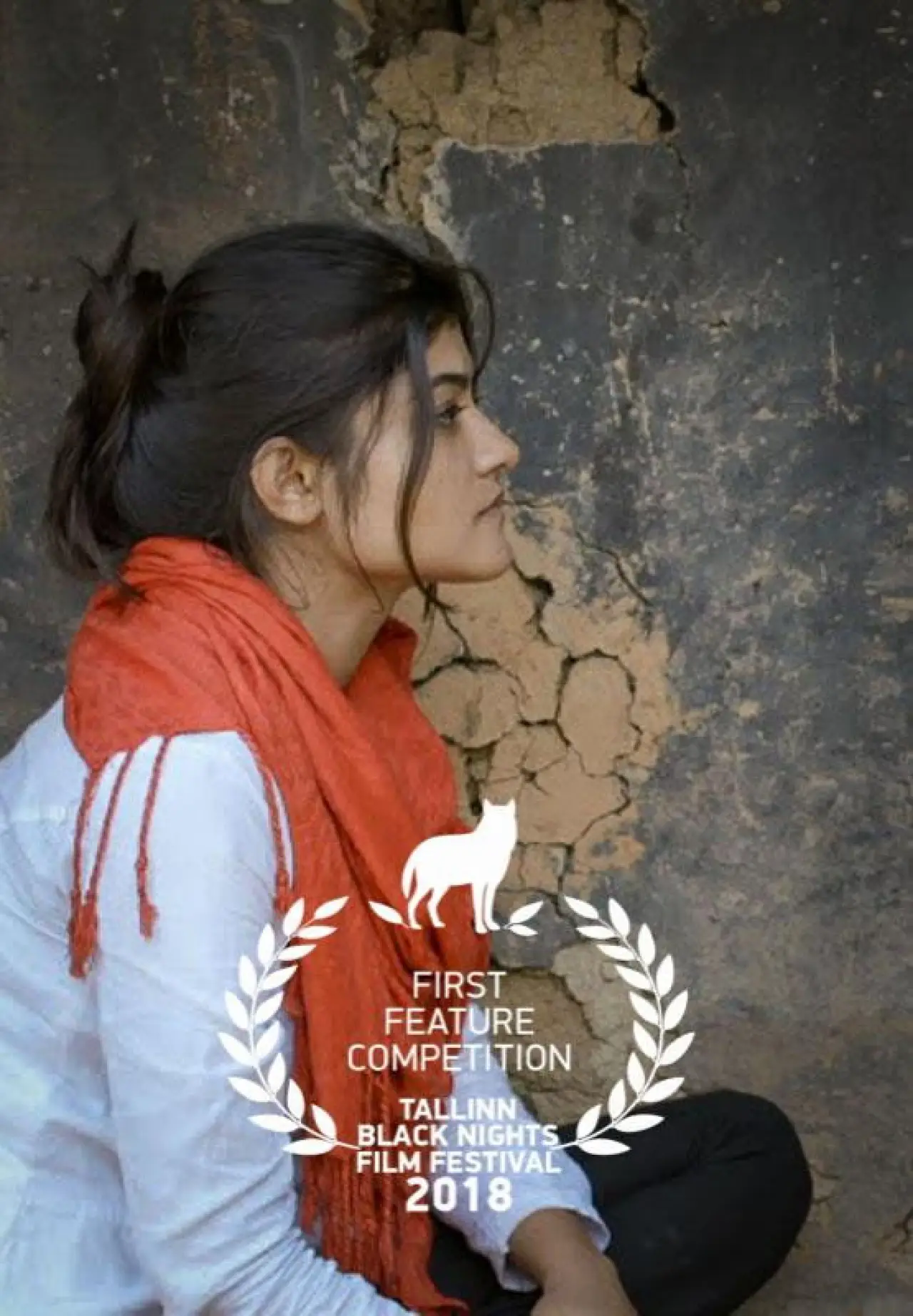 Plakat filmowy "ହାଲୋ ଆର୍ସି"