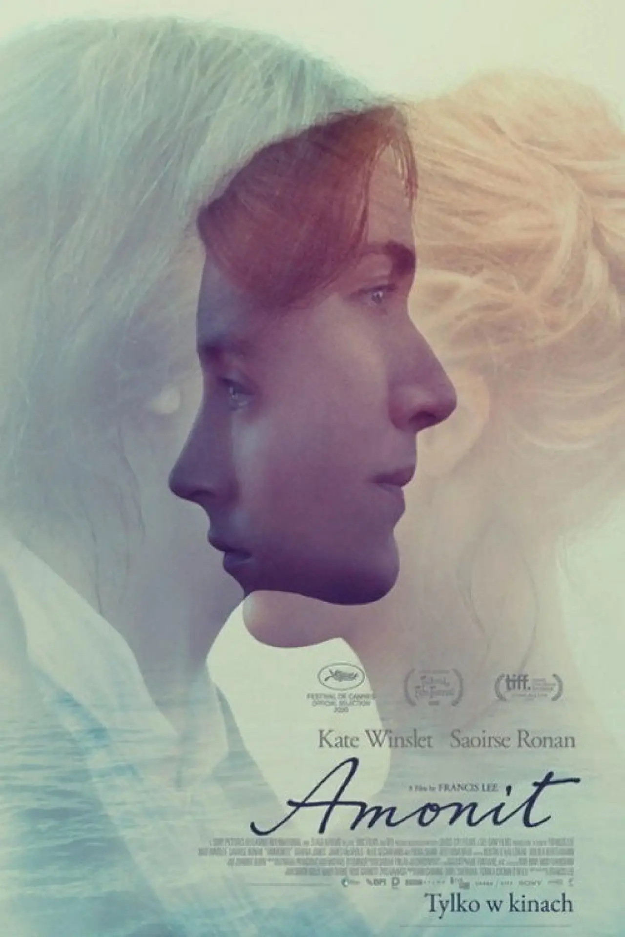 Plakat filmowy "Amonit"