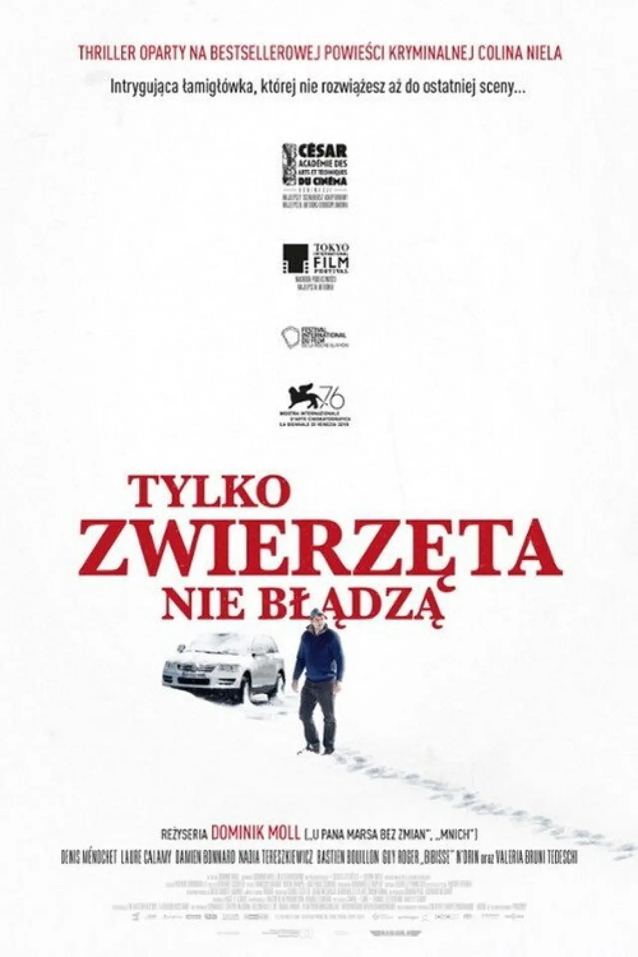 Plakat filmowy "Tylko zwierzęta nie błądzą"
