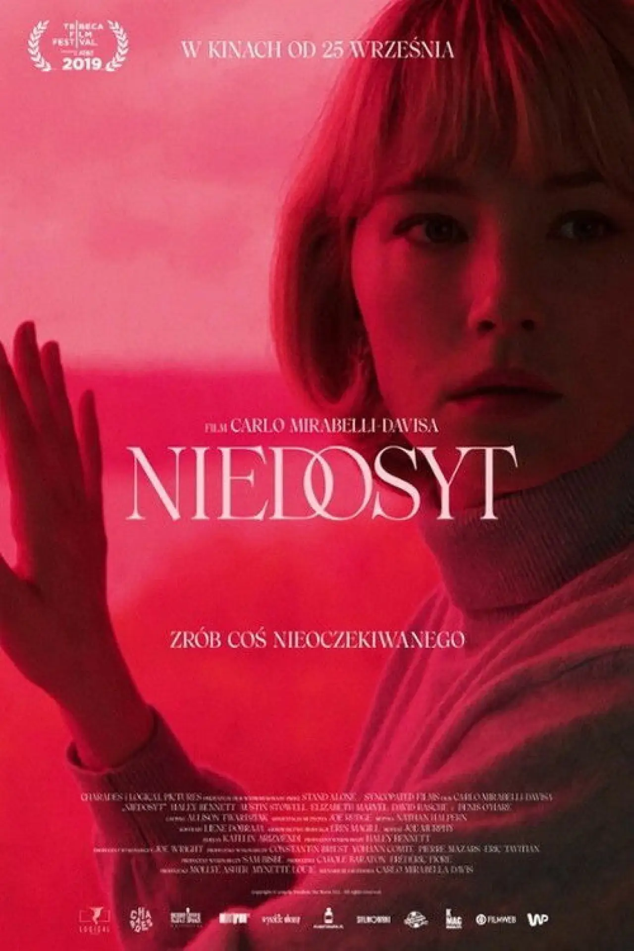 Plakat filmowy "Niedosyt"