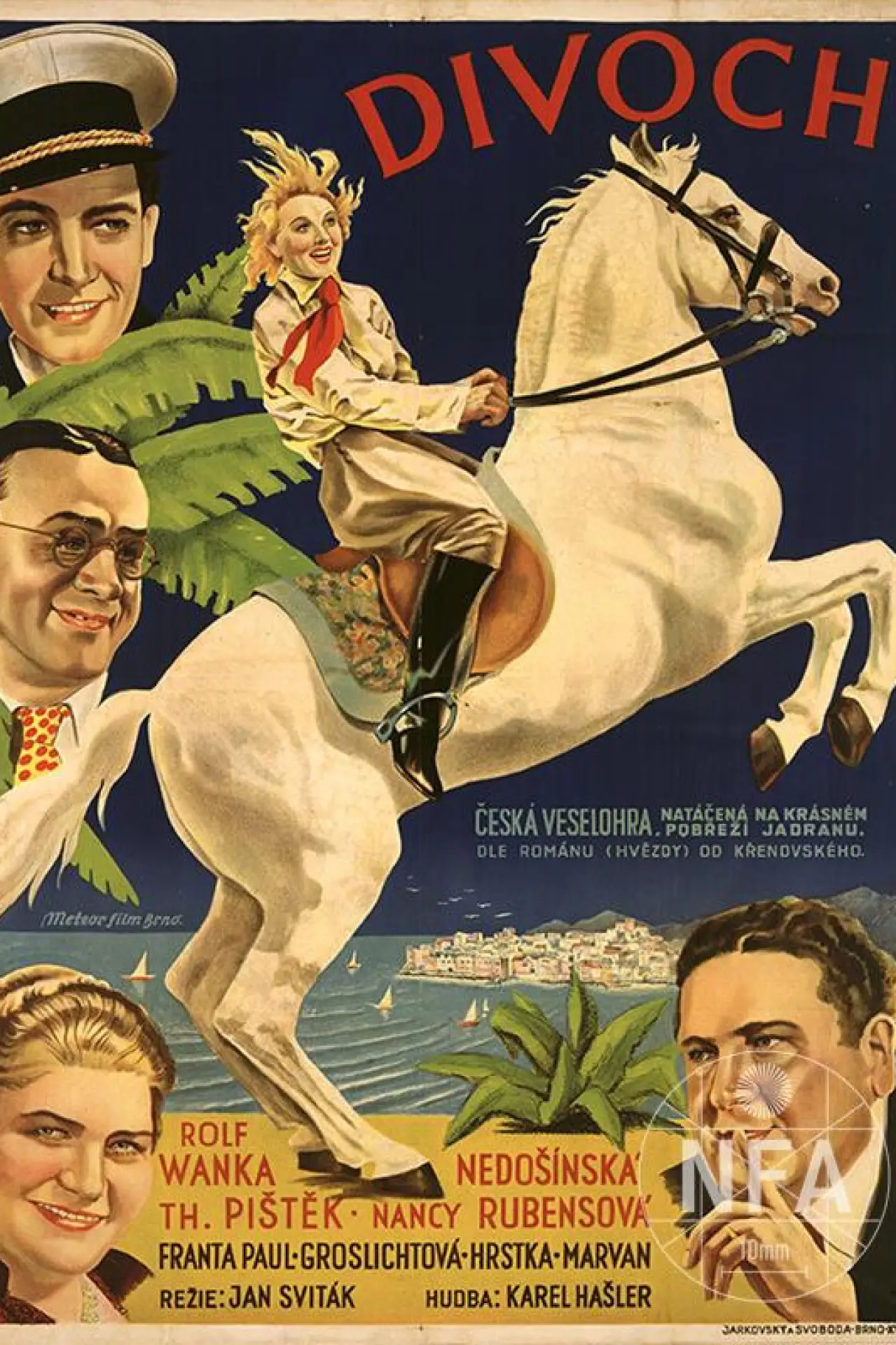 Plakat filmowy "Divoch"
