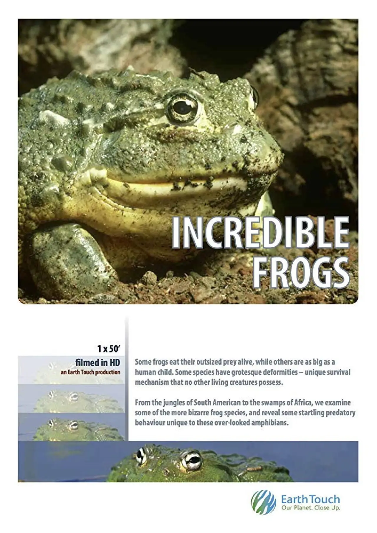 Plakat filmowy "Incredible frogs"