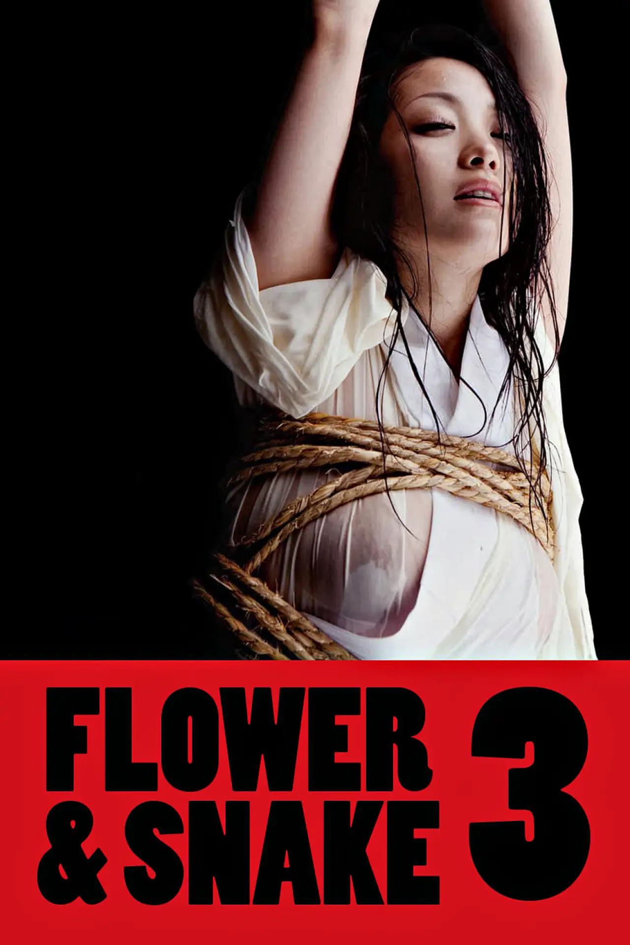 Plakat filmowy "花と蛇 3"