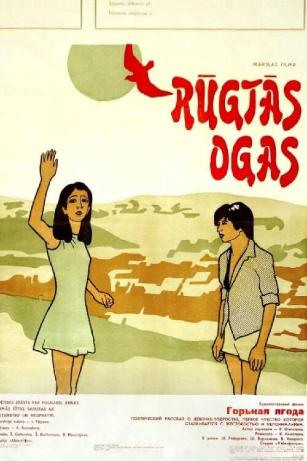 Plakat filmowy "Achchiq danak"