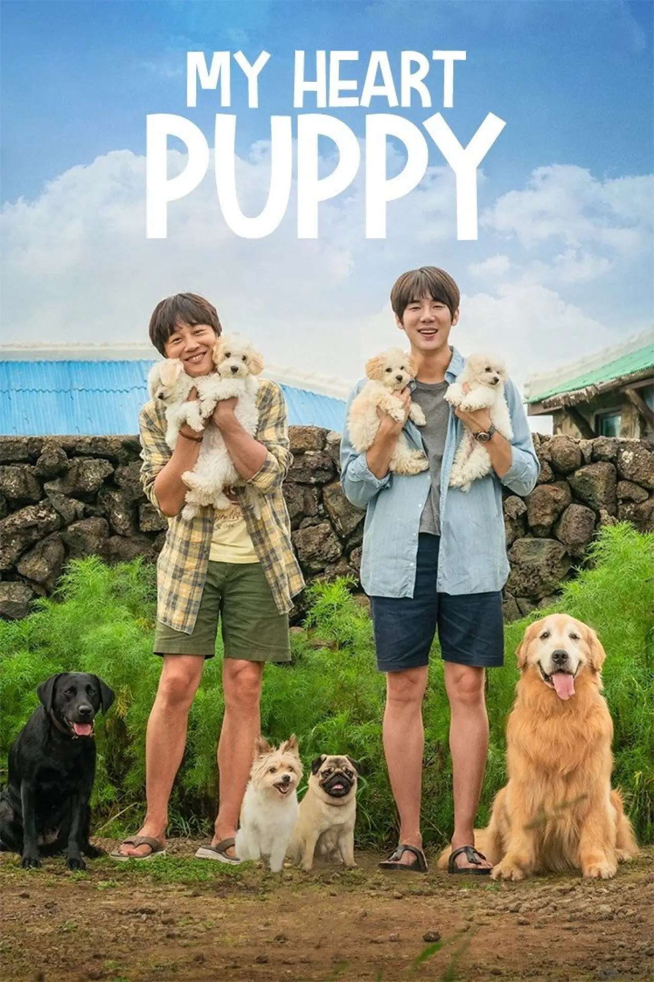 Plakat filmowy "멍뭉이"
