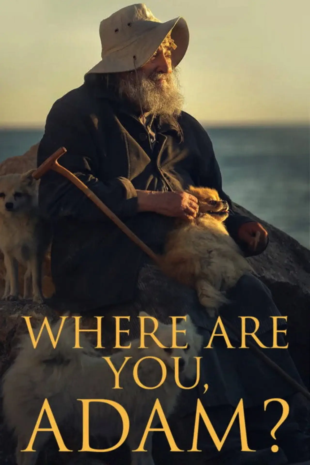 Plakat filmowy "Де ти, Адаме?"