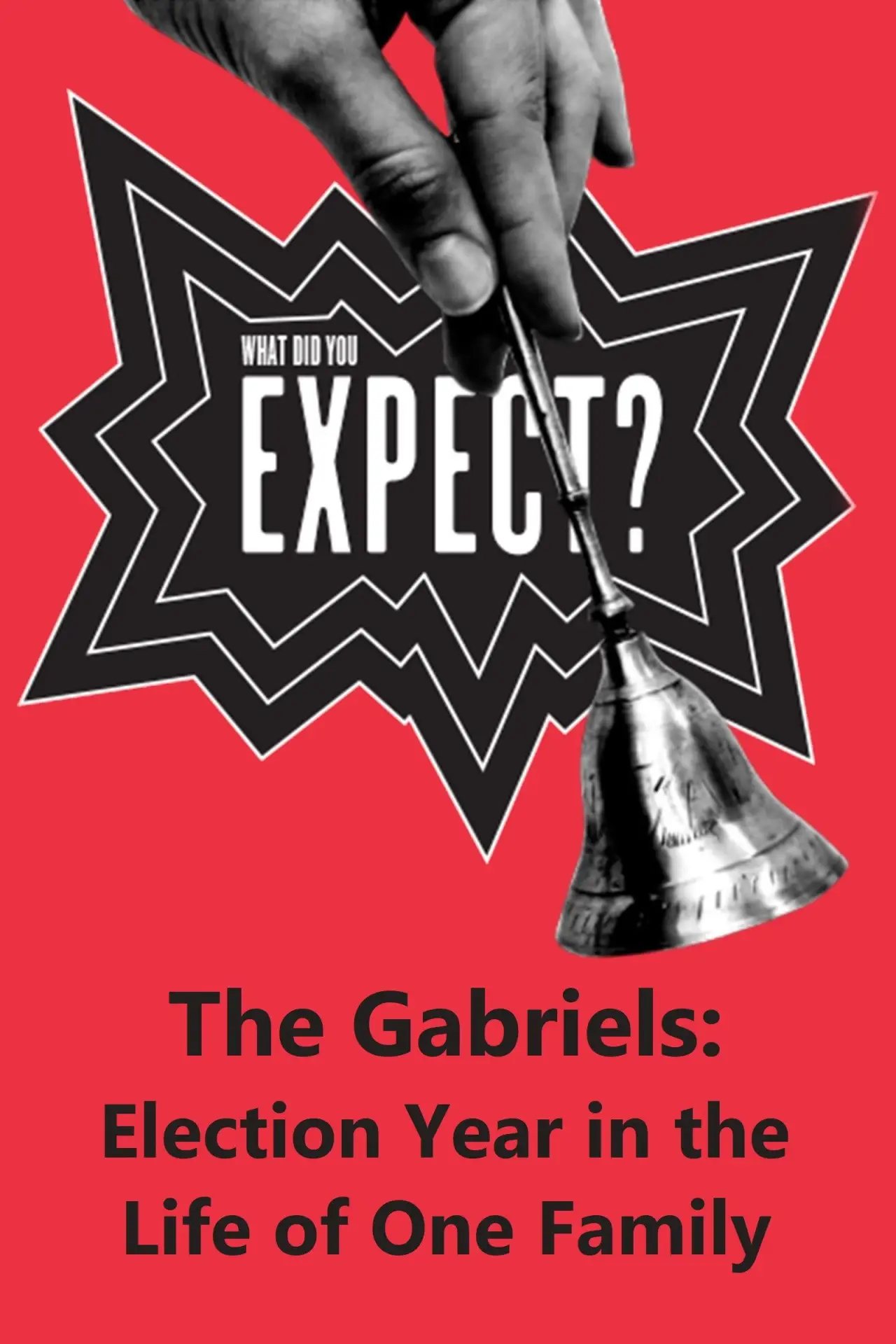 Plakat filmowy "The Gabriels: Election Year in the Life of One Family, Play Two: What Did You Expect?"