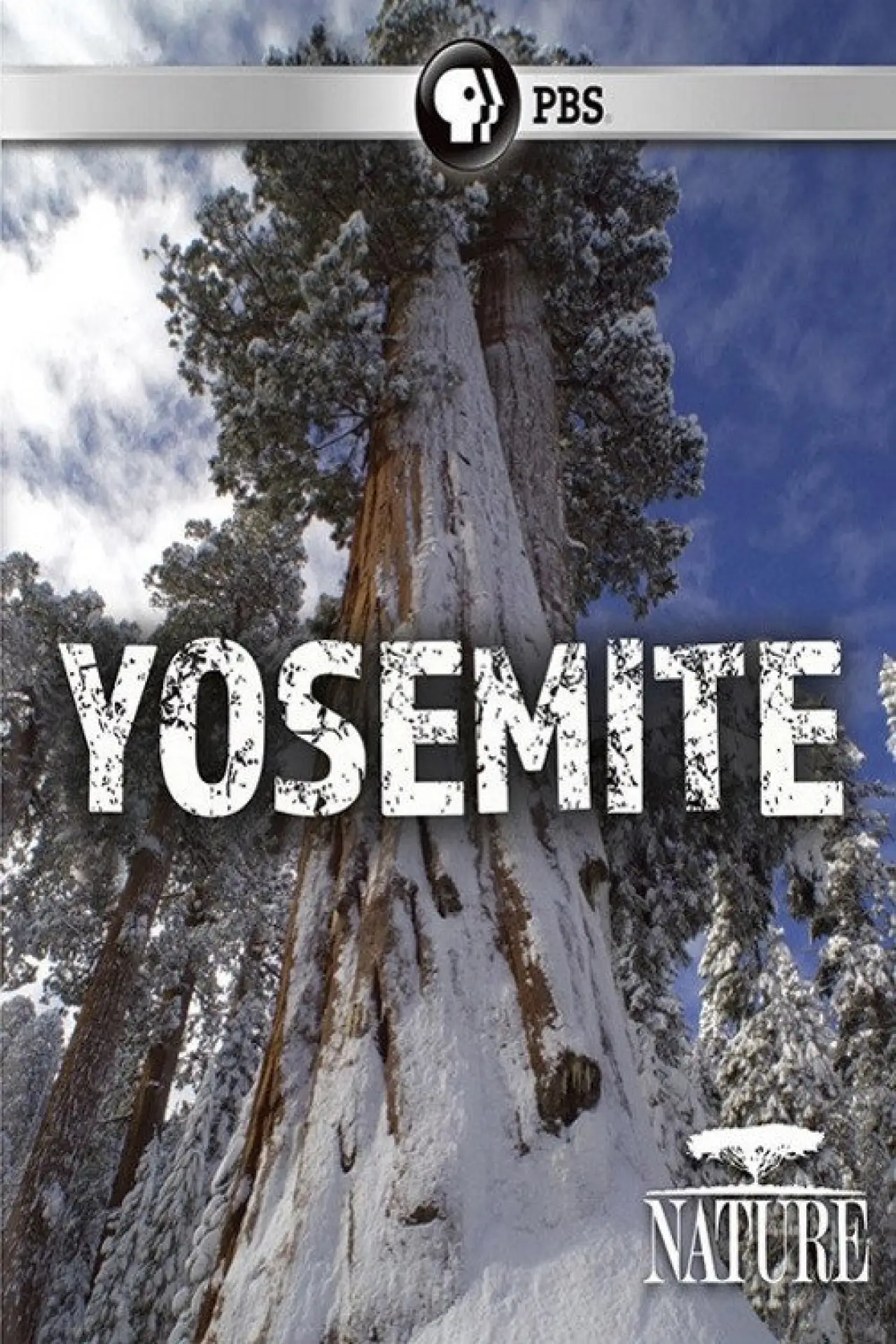 Plakat filmowy "Nature: Yosemite"