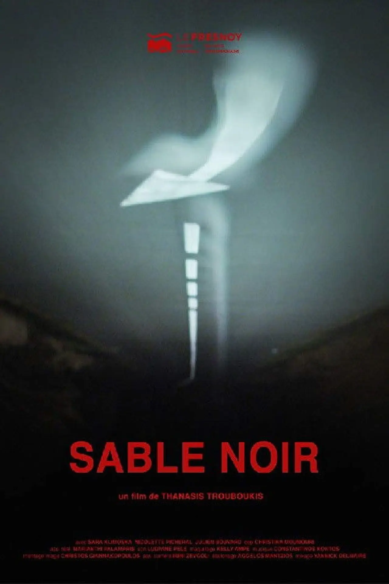 Plakat filmowy "Sable noir"