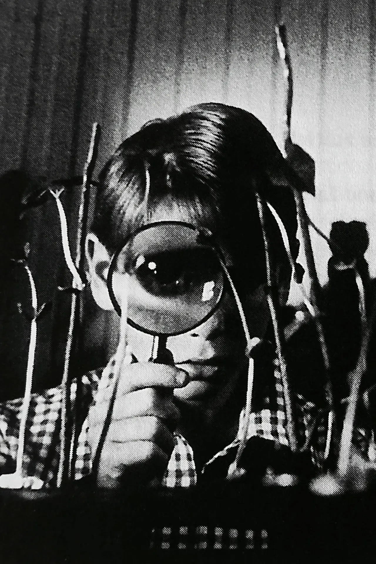 Plakat filmowy "Vinaya"