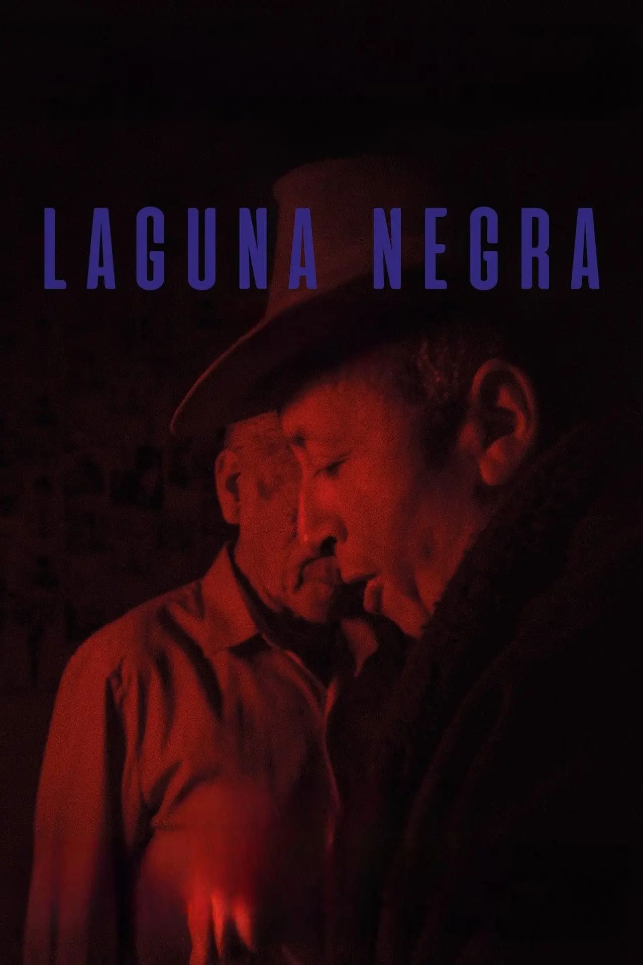 Plakat filmowy "Laguna negra"