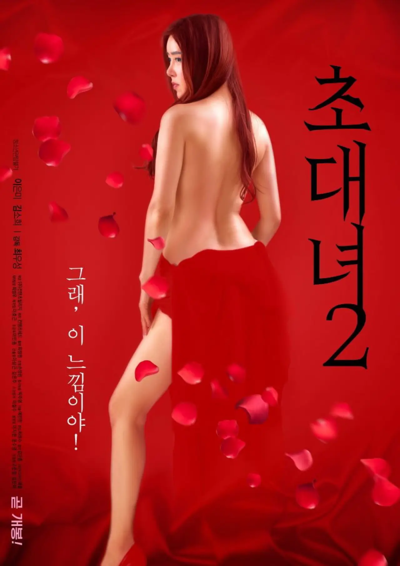 Plakat filmowy "초대녀 2"