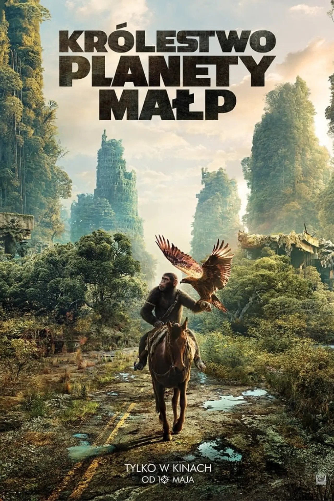 Plakat filmowy "Królestwo Planety Małp"