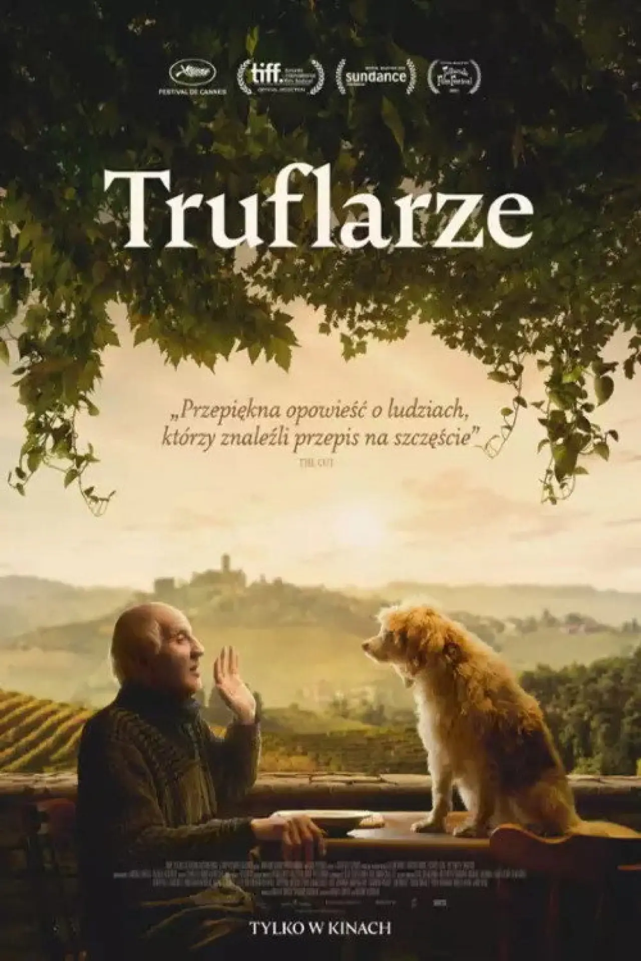 Plakat filmowy "Truflarze"